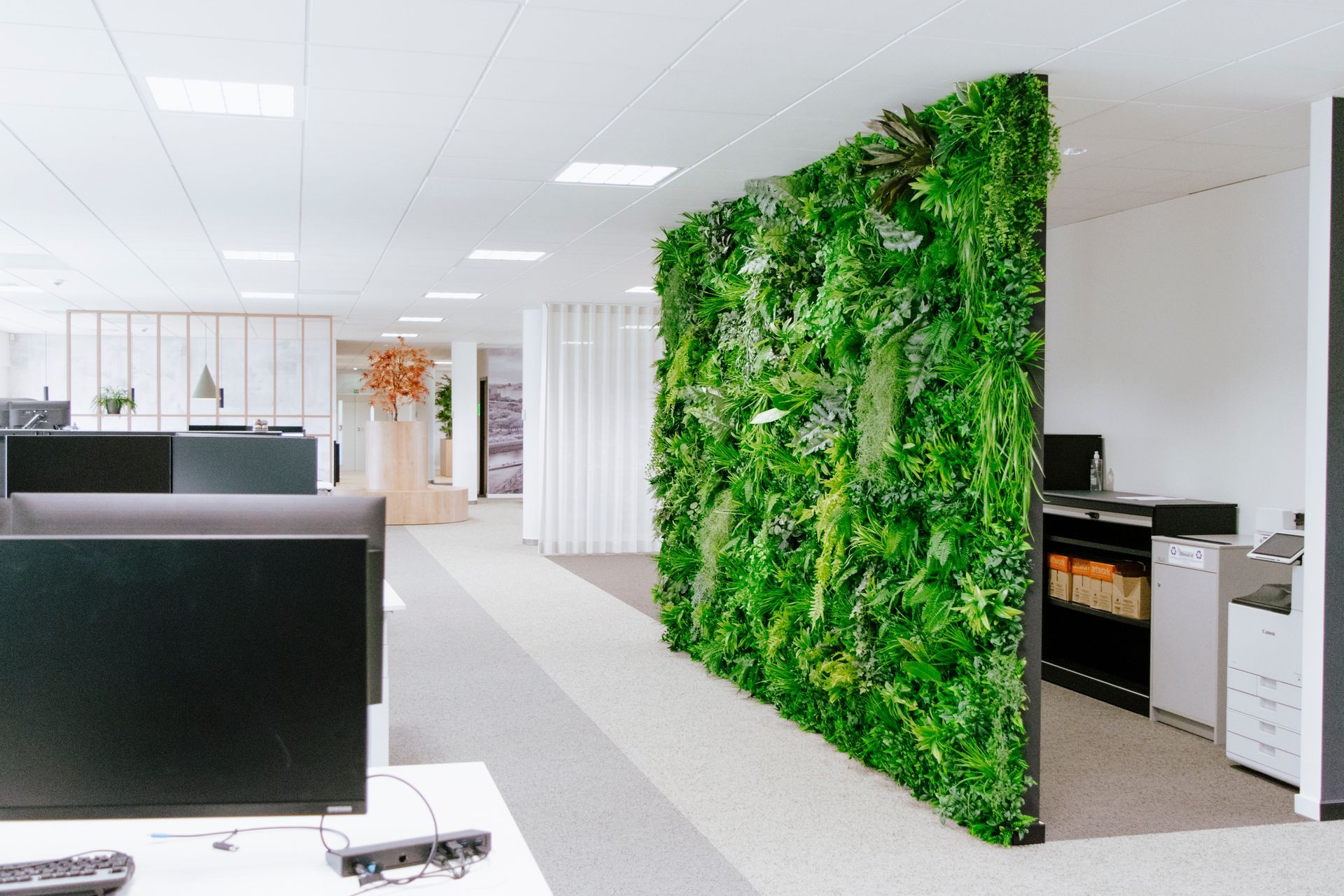 Modern office with desks and a large green plant wall divider