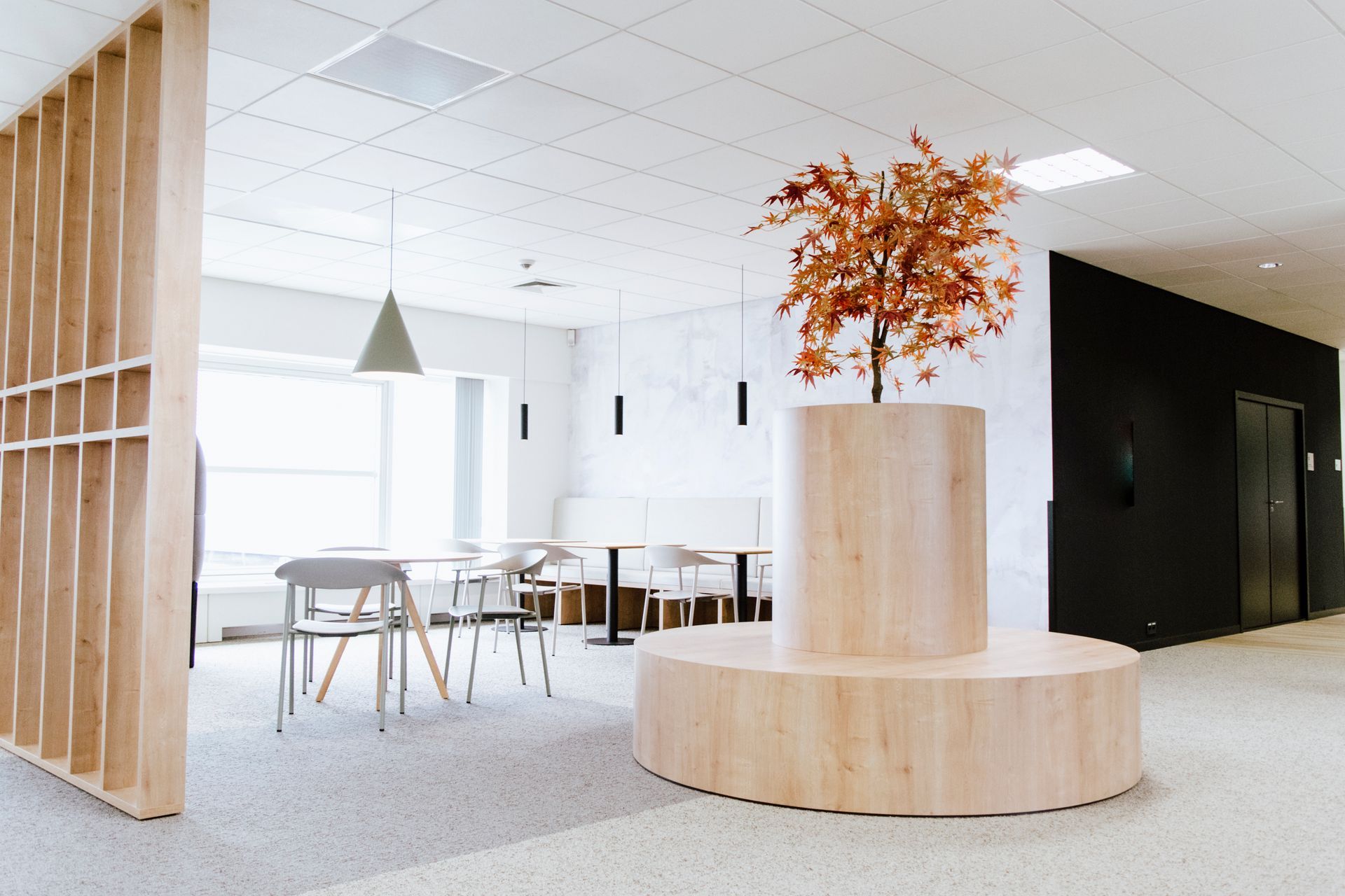 Intérieur blanc moderne avec tables et chaises en bois, et une jardinière ronde en bois aux feuilles orange.