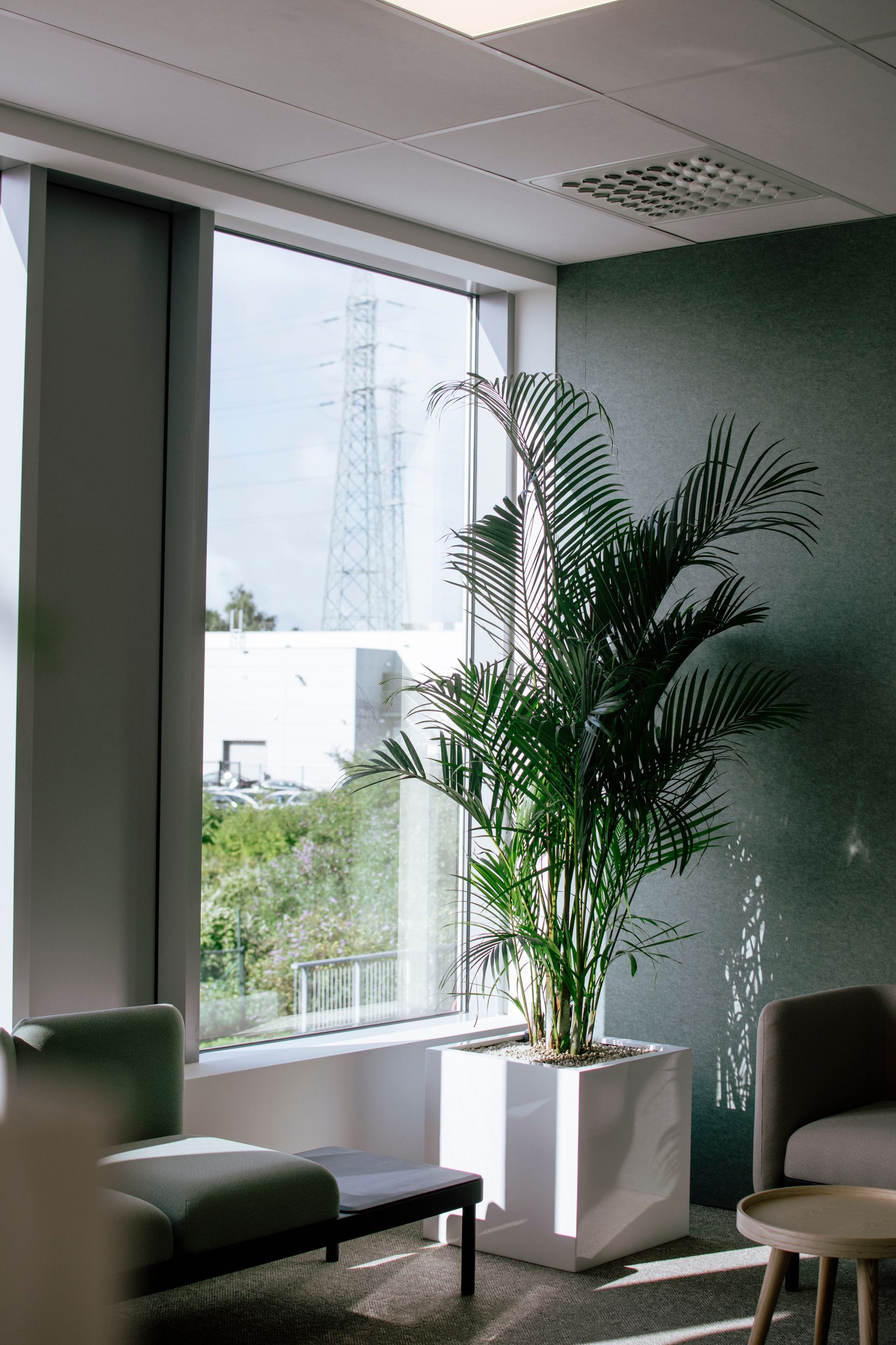 Salon de bureau moderne avec un palmier en pot près d'une grande fenêtre offrant une vue sur la ville