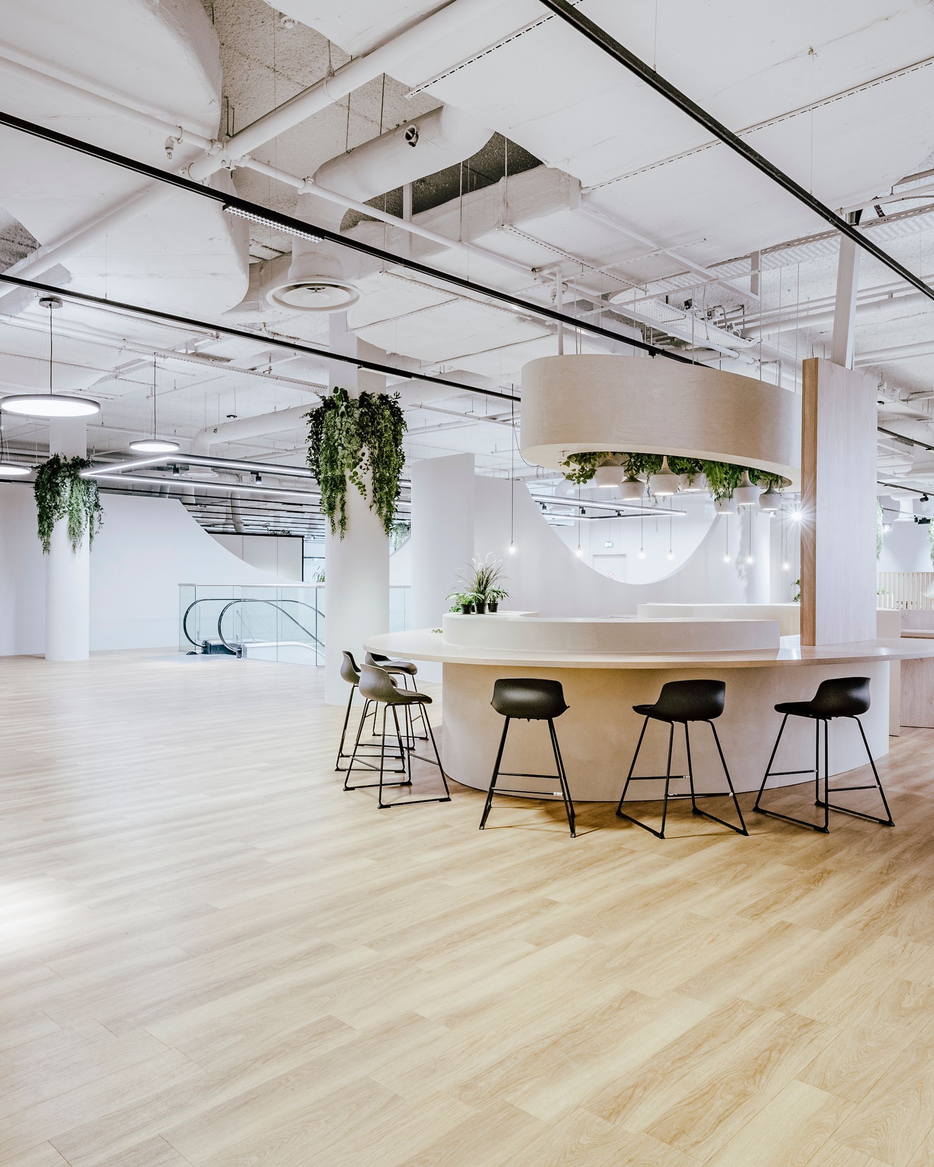 Bureau moderne à aire ouverte avec décor blanc, parquet, plantes suspendues et tabourets de bar autour d'un comptoir central