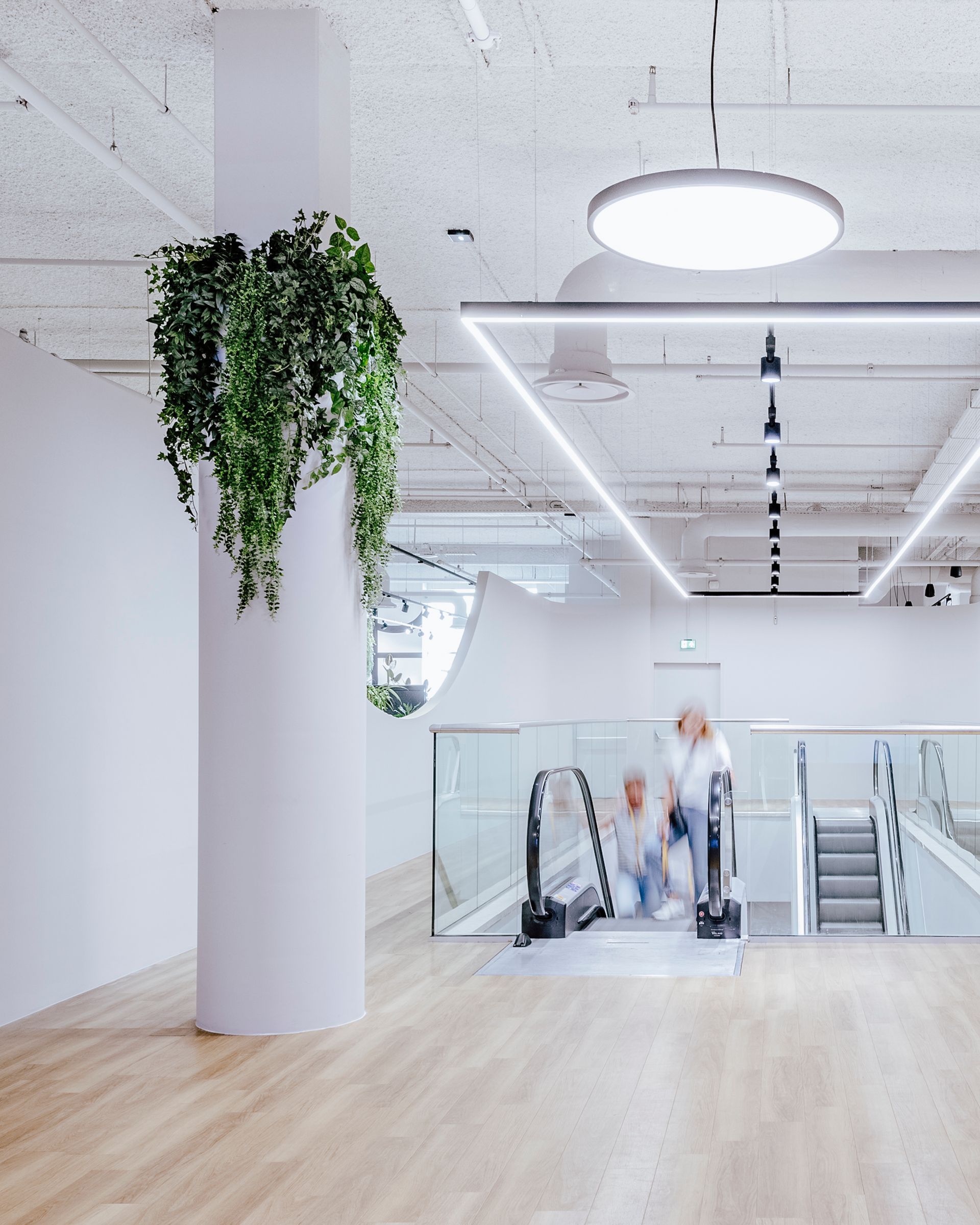 Hall d'entrée lumineux avec une plante suspendue, un escalator et une personne marchant près d'une balustrade en verre.
