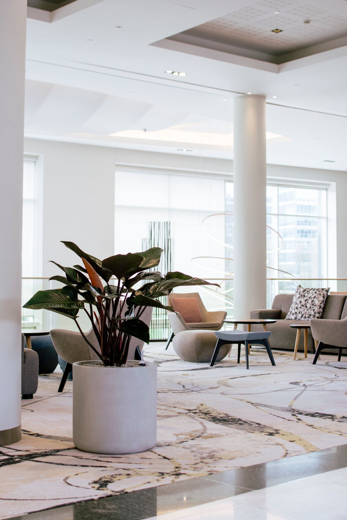 Modern hotel lobby with a potted plant, white columns, and seating on a light patterned rug