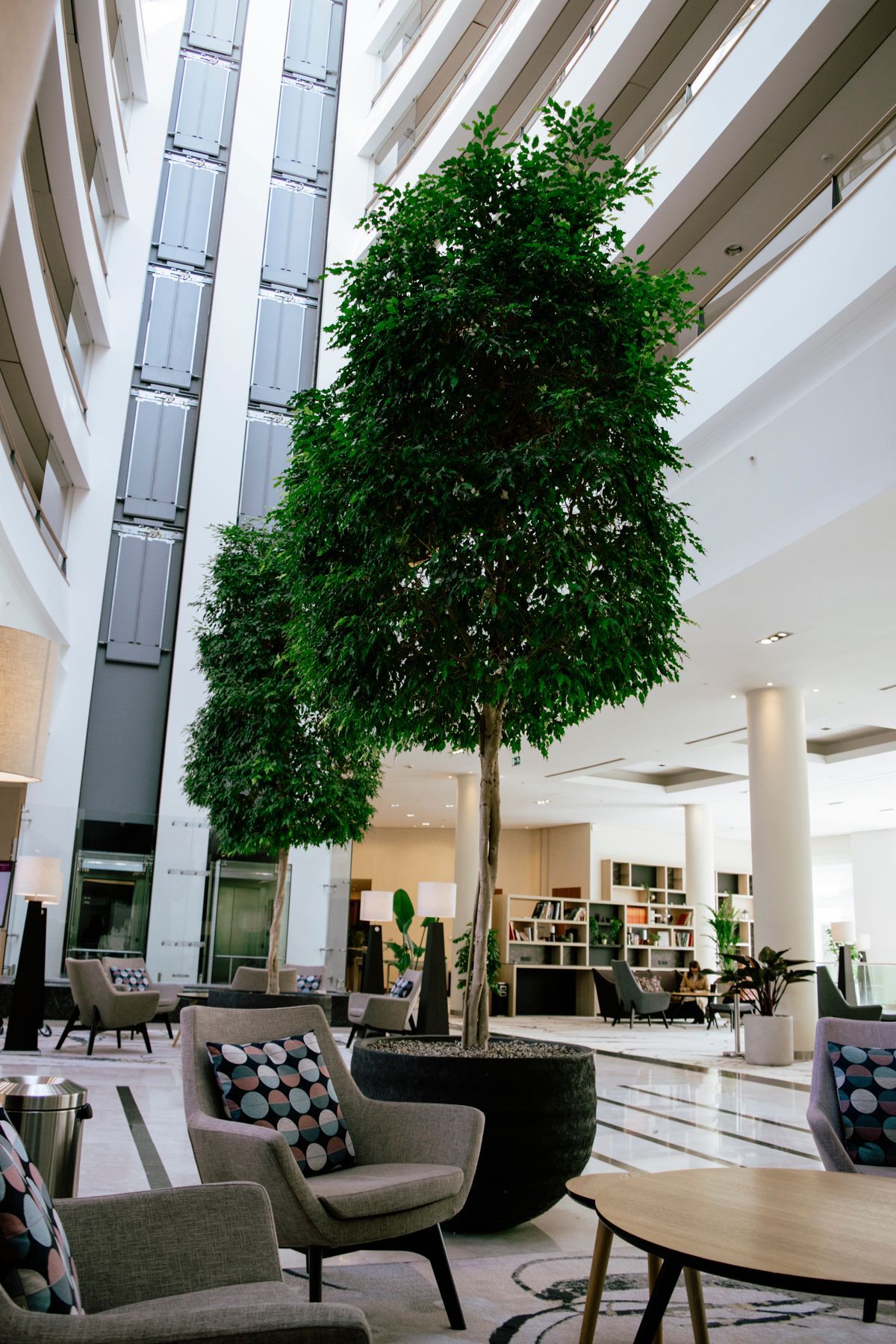 Bright indoor atrium with tall trees, lounge chairs, and tables in a modern building