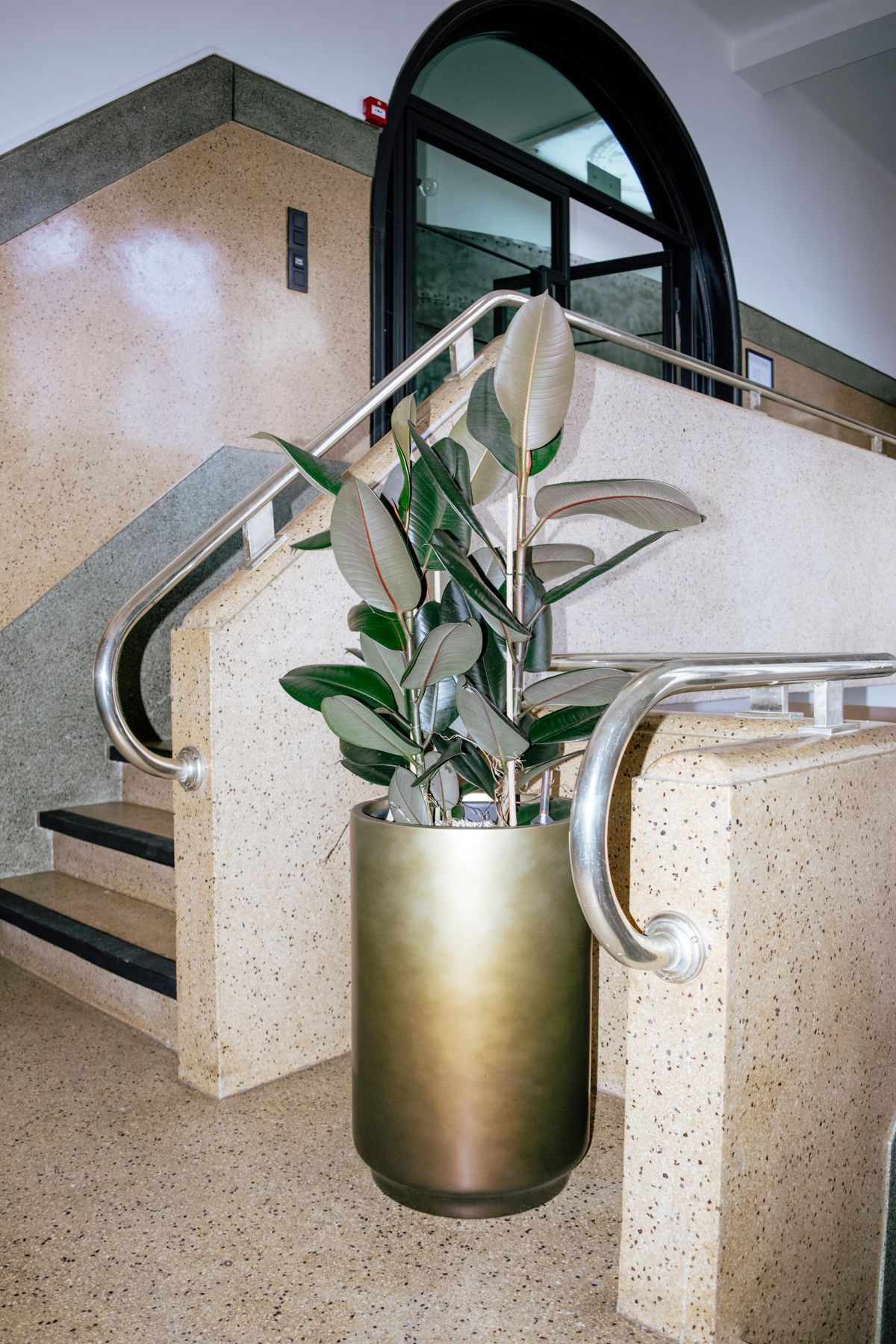 Indoor staircase with a potted plant beside a marble railing and arched doorway.