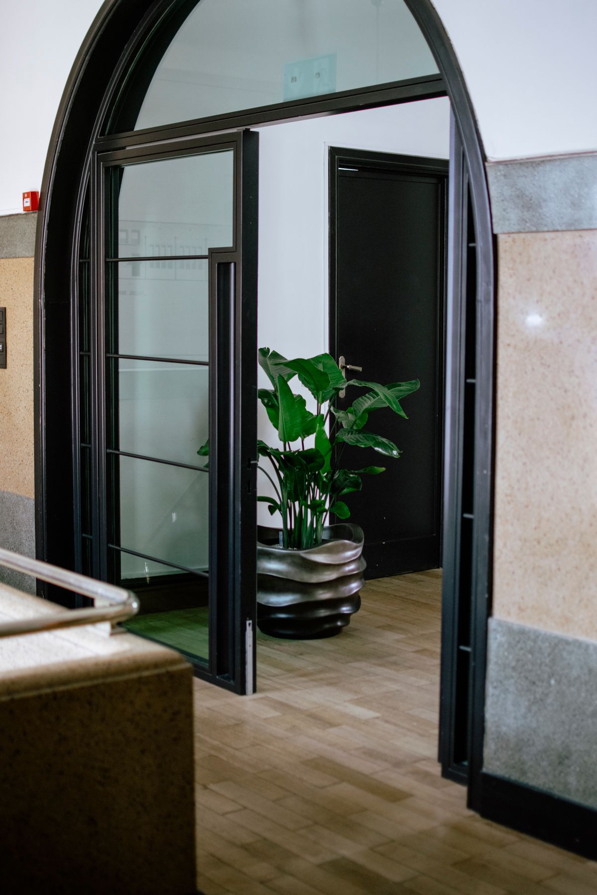 Open arched doorway to a room with a potted plant on wood floors