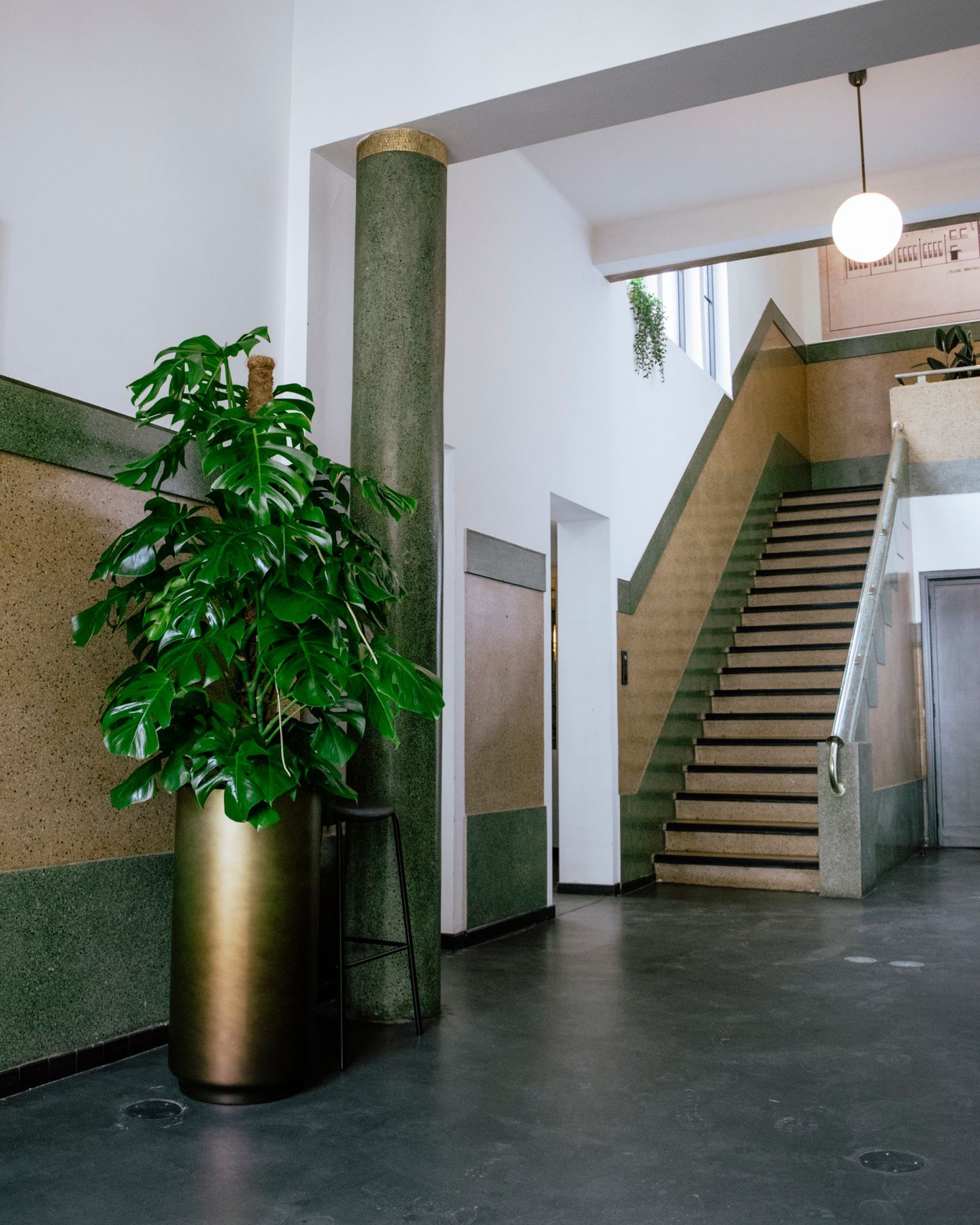 Modern stairwell with potted plant, white walls, and a staircase leading up to an upper landing.