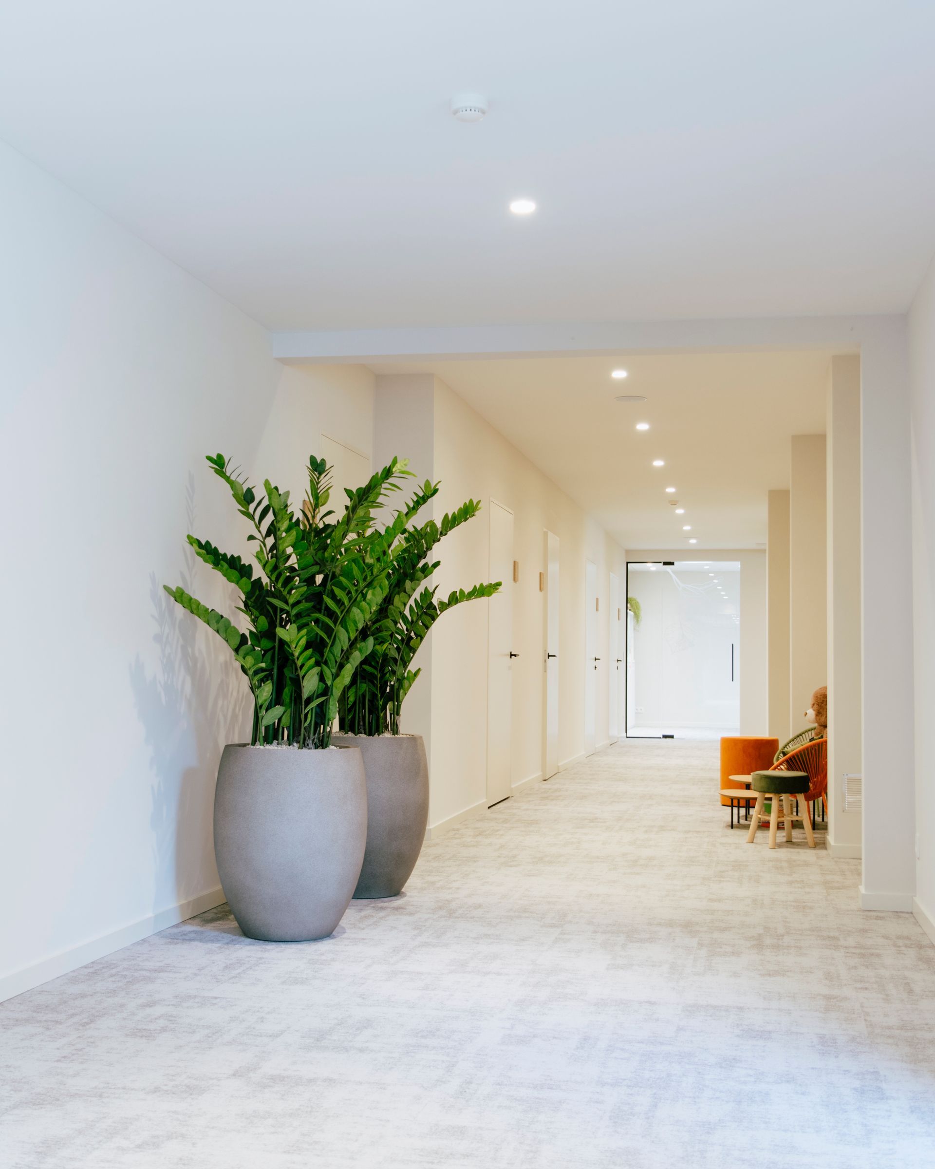 Couloir minimaliste et lumineux avec plantes en pot et éclairage encastré au plafond