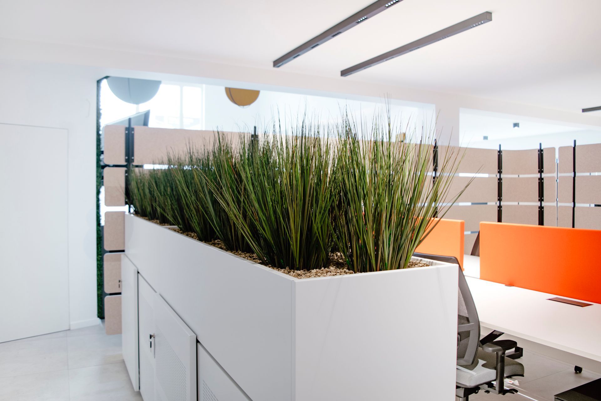 Bureau moderne avec une grande jardinière de hautes herbes séparant des bureaux blancs et des cloisons orange.
