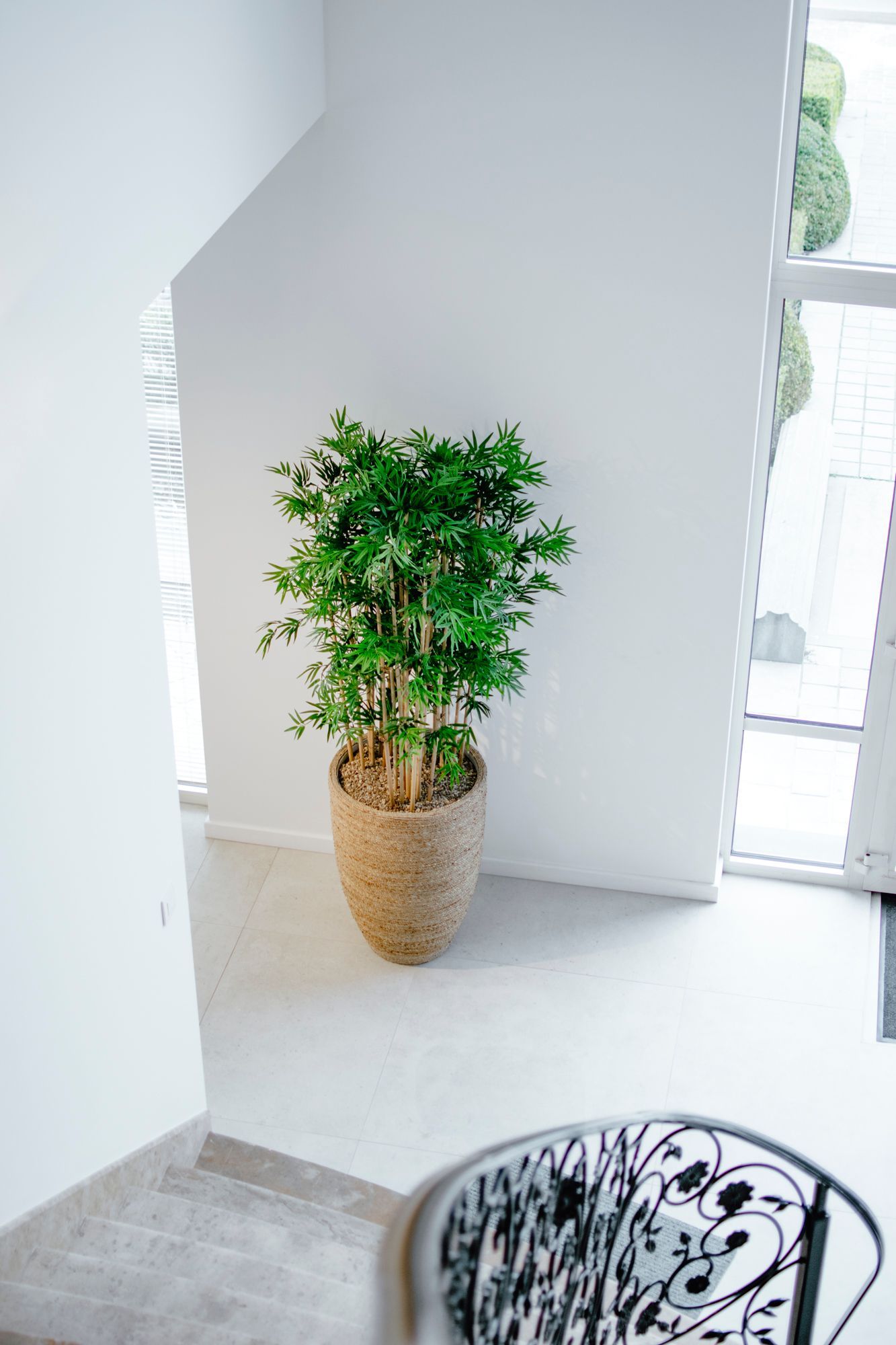Plante verte en pot près d'un escalier lumineux et d'une porte vitrée dans un intérieur minimaliste.