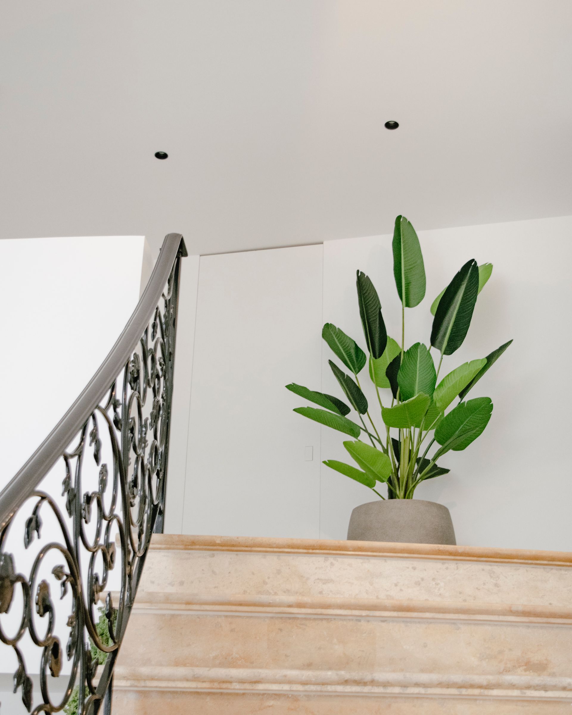 Escalier intérieur avec rampe ornée et plante verte en pot sur le palier supérieur