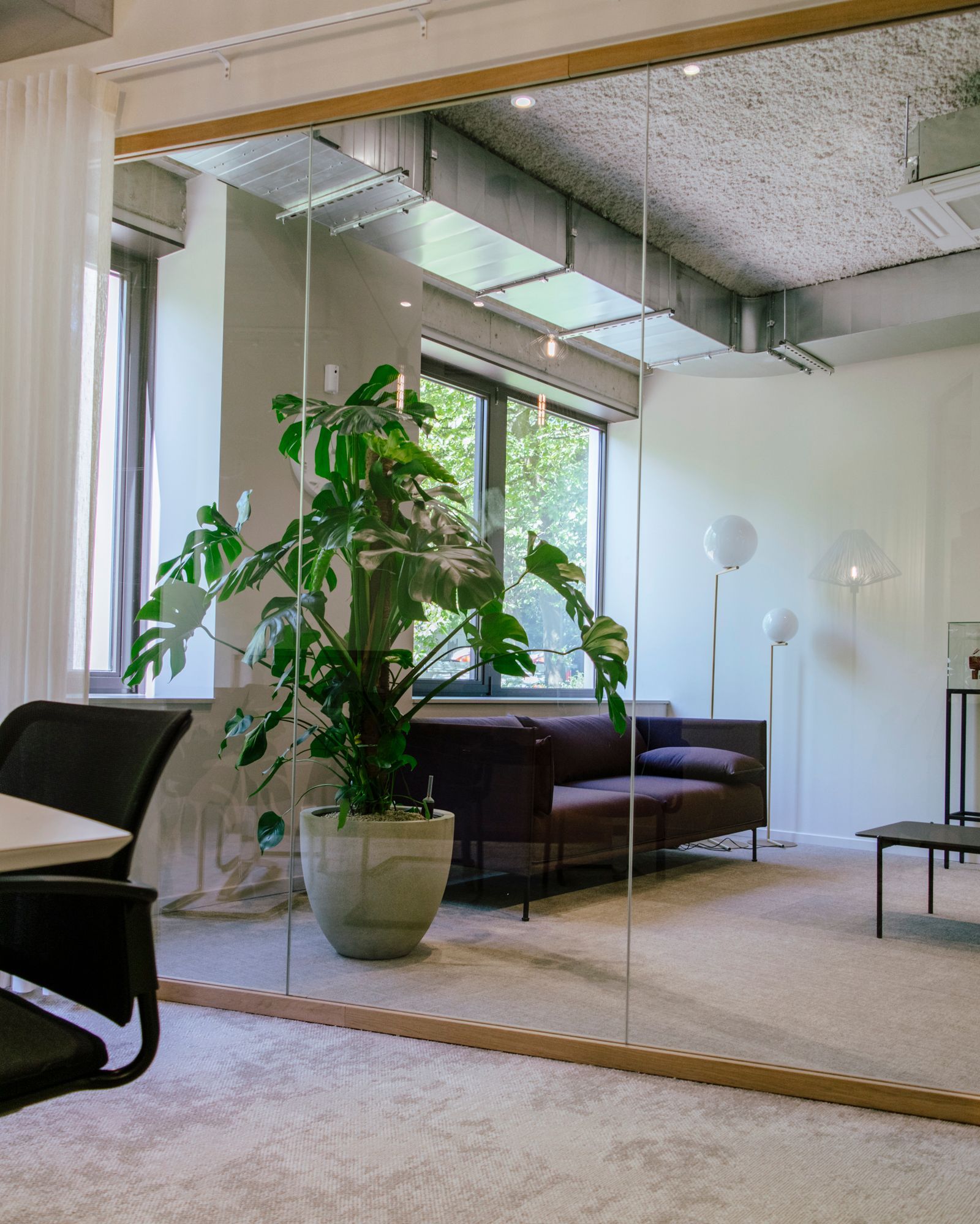 Modern living room with large mirror, potted plant, sofa, floor lamp, and beige rug.