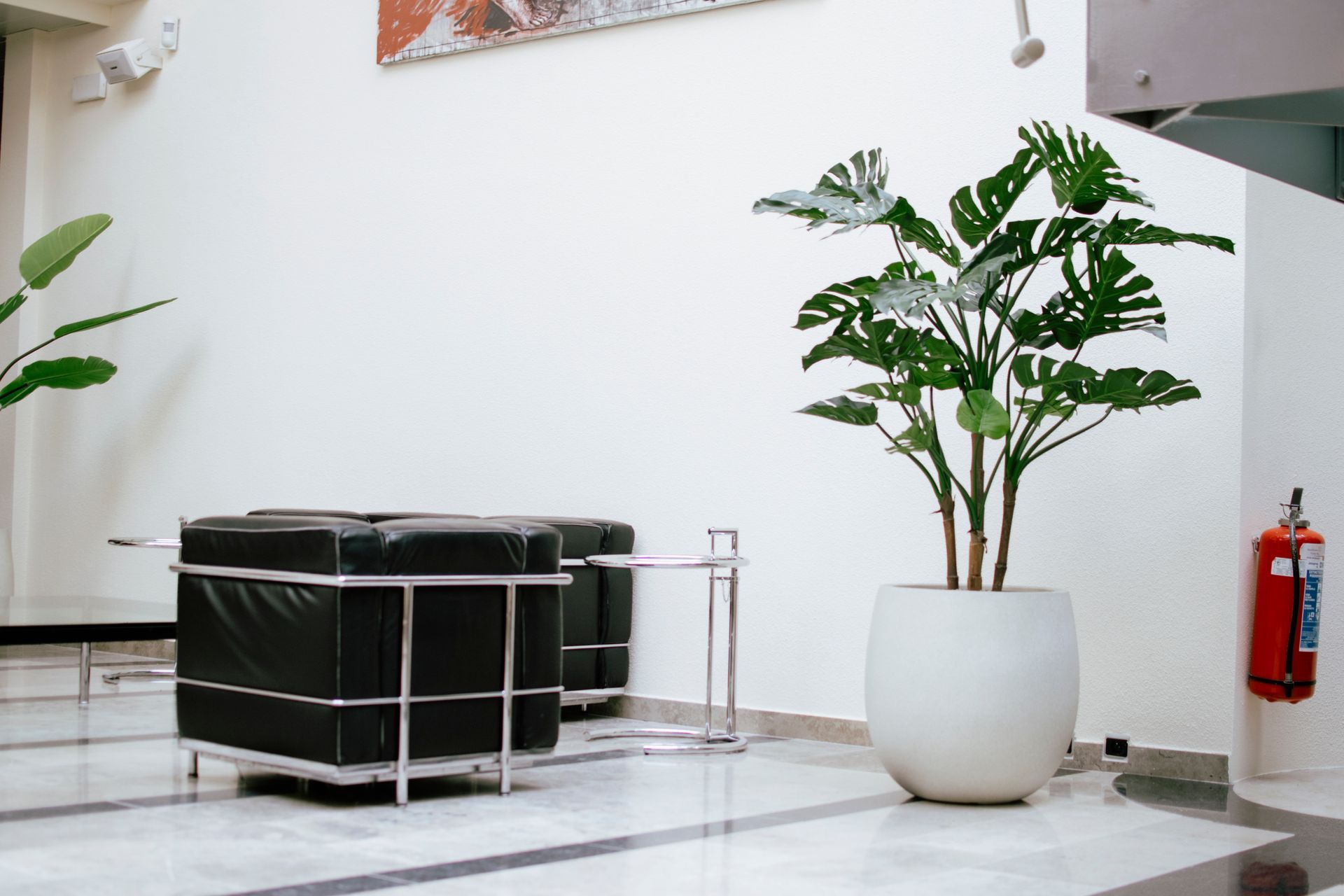 Modern lobby with black chairs, a white planter with green plant, and a red fire extinguisher on the wall