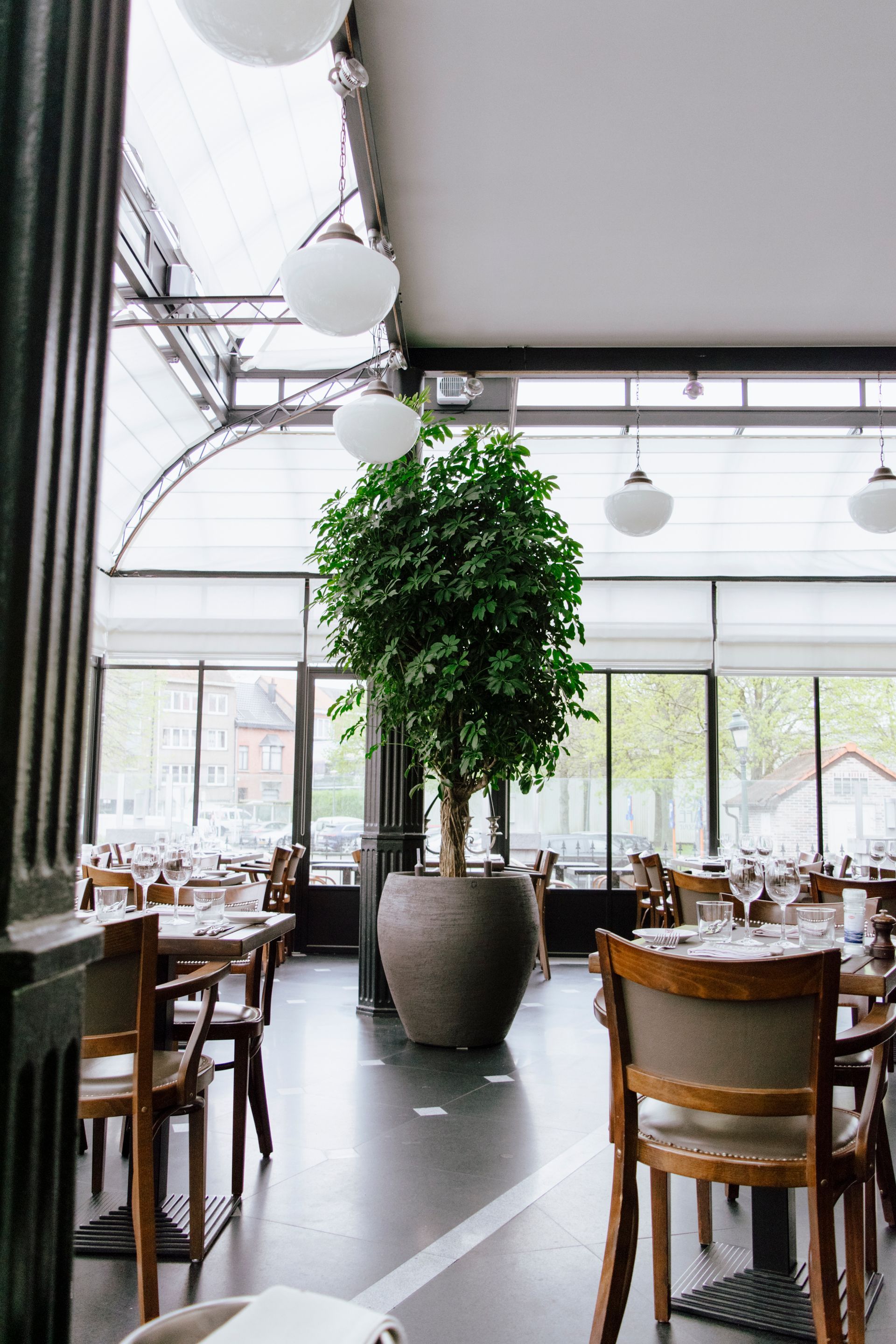 Bright restaurant interior with wooden tables, chairs, and a tall potted tree near large windows.