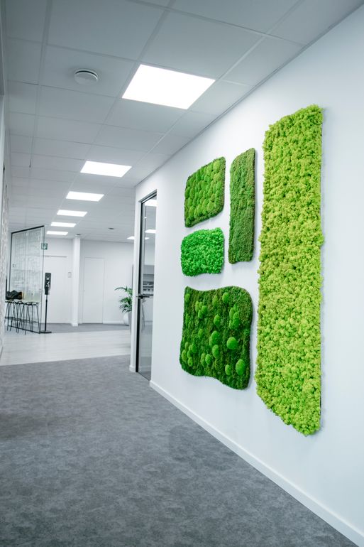 Moderne kantoorhal met een wand waarop vier geometrische panelen van geconserveerd groen mos zijn aangebracht.
