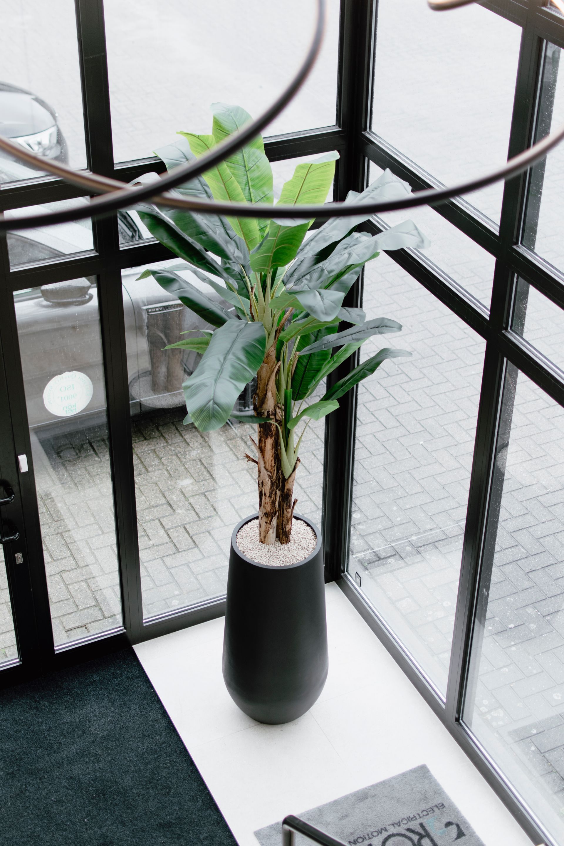 Plante verte en pot dans un vase noir sur une table blanche près d'une balustrade vitrée.