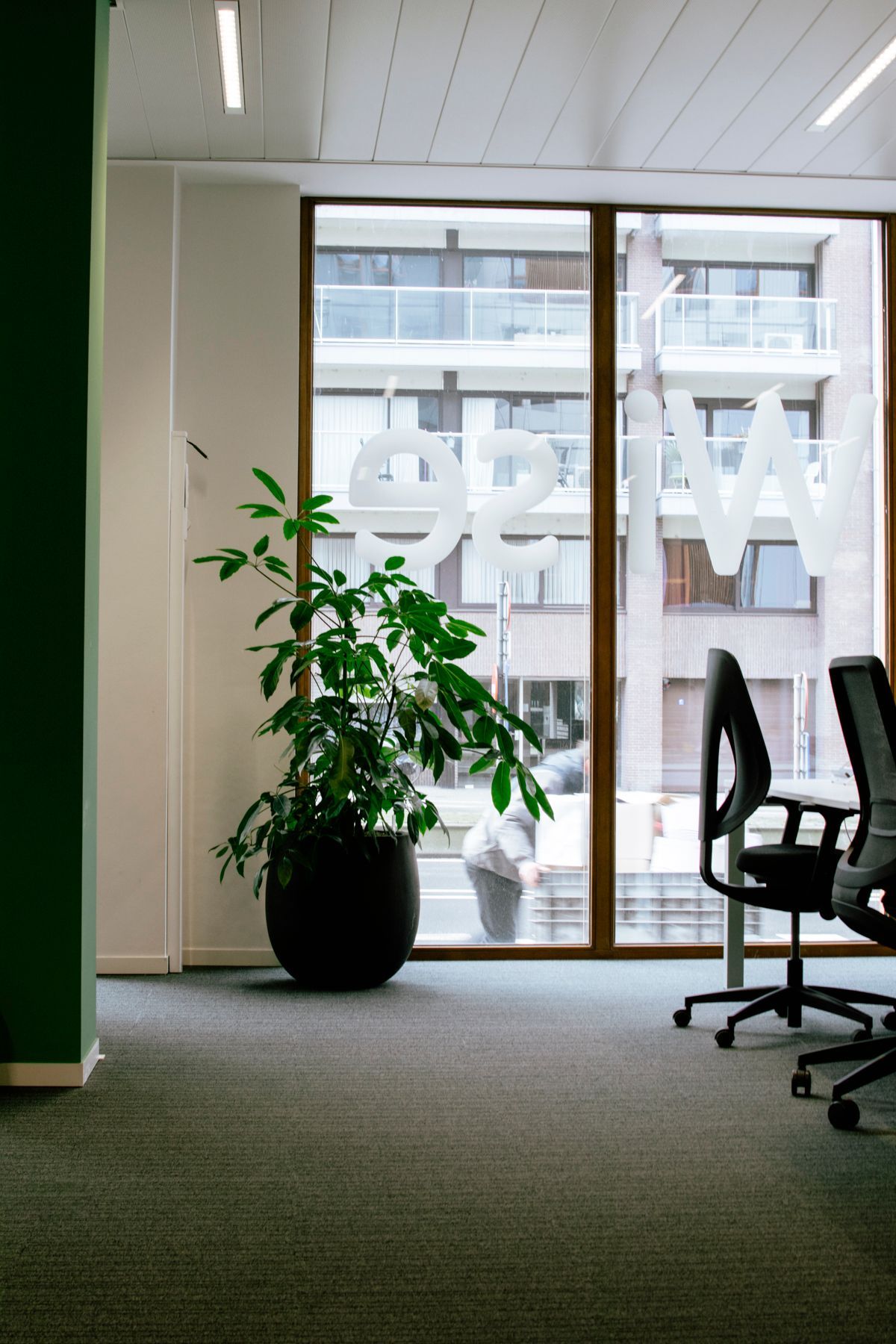 Office interior with potted plant, chairs, and large window view