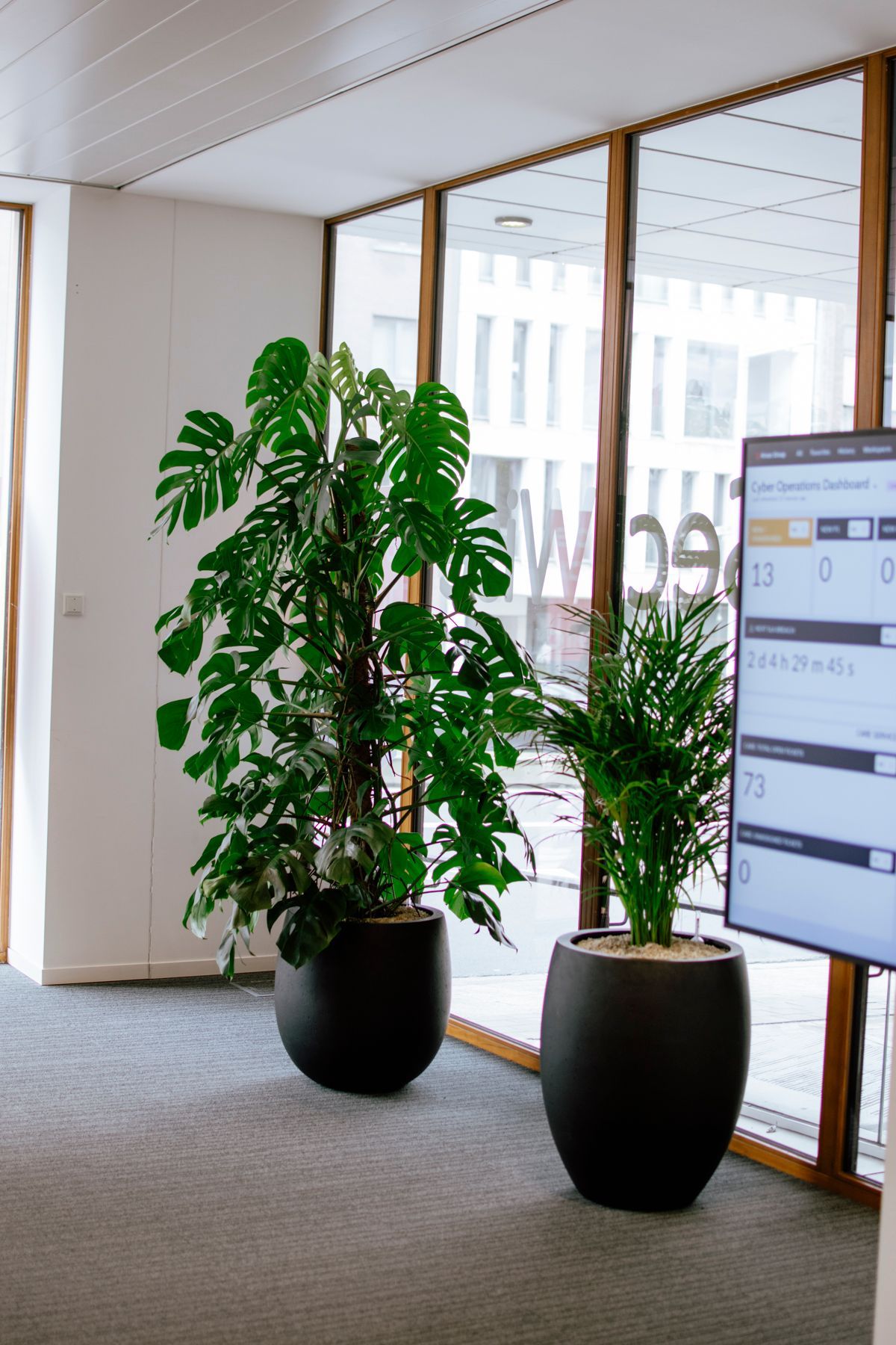Office lobby with two potted plants beside a large window and digital display screen