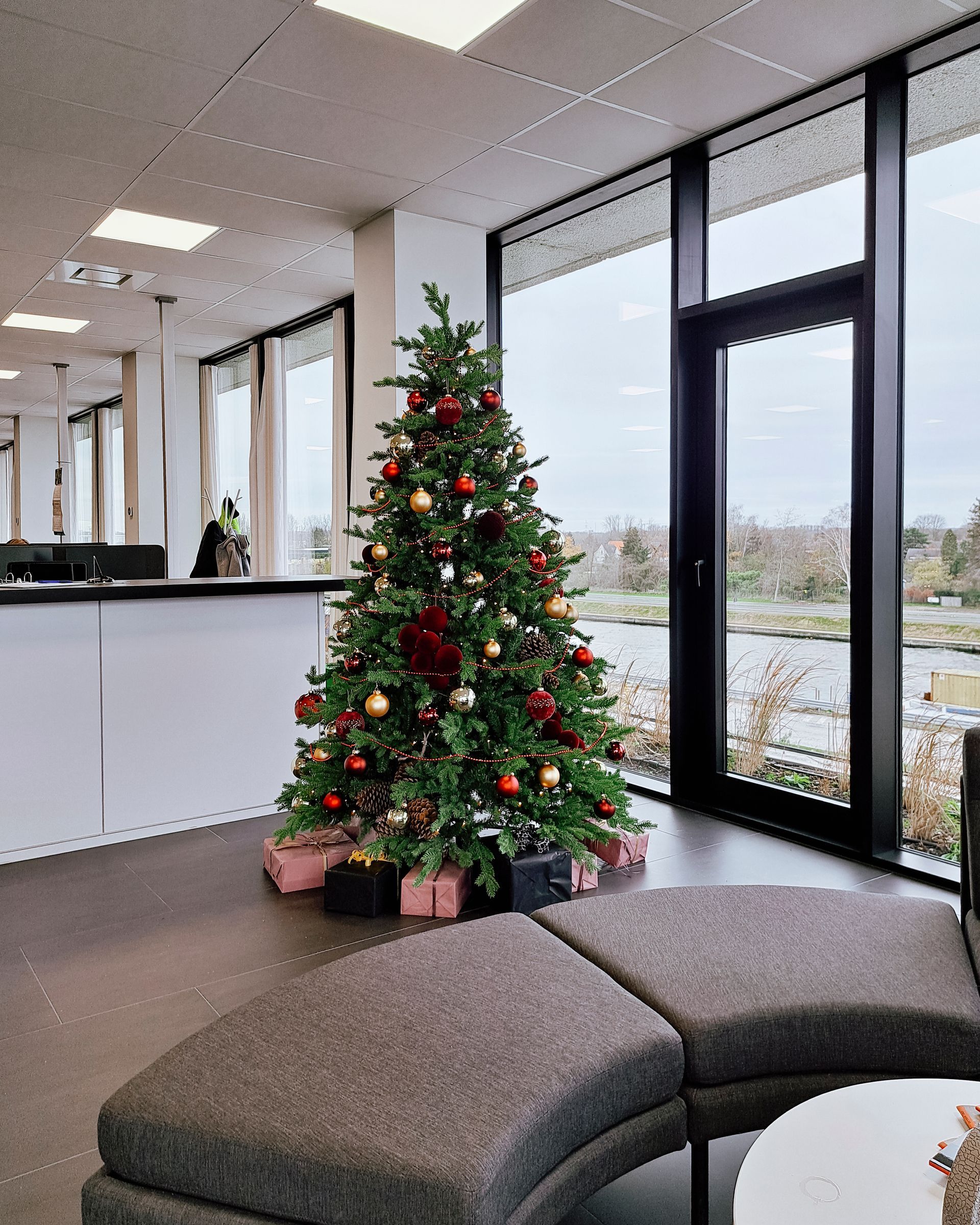 Christmas tree in an office lounge beside large windows, with wrapped gifts and gray seating nearby.