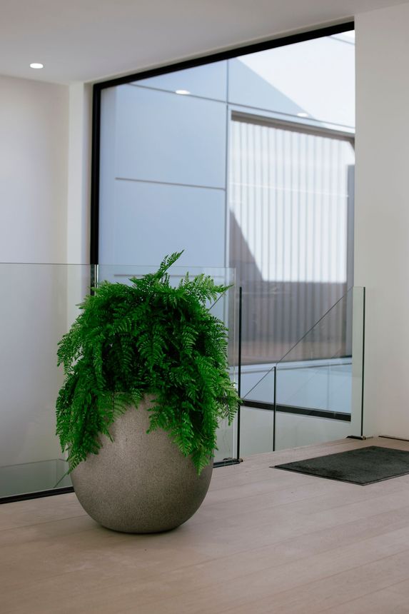 Twee vetplanten in potten staan ​​op een lichte vensterbank, vlakbij kleurrijke, ronde hangende kunstwerken, in een moderne, witte kamer.