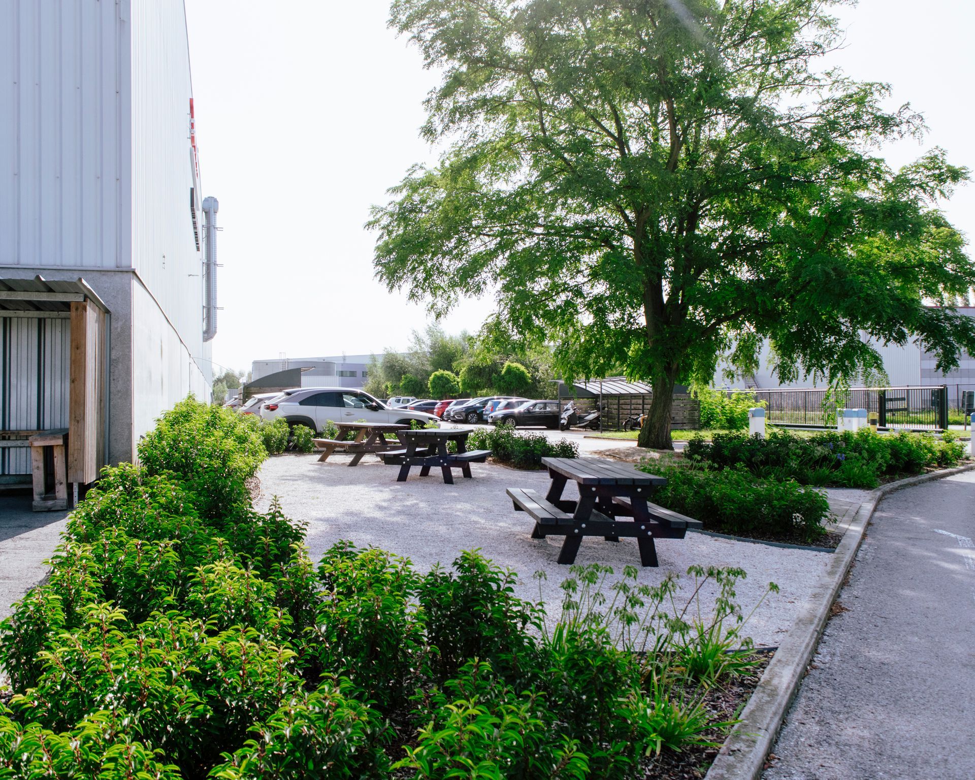 Outdoor patio with picnic tables, a large tree, shrubs, and a building beside a parking lot
