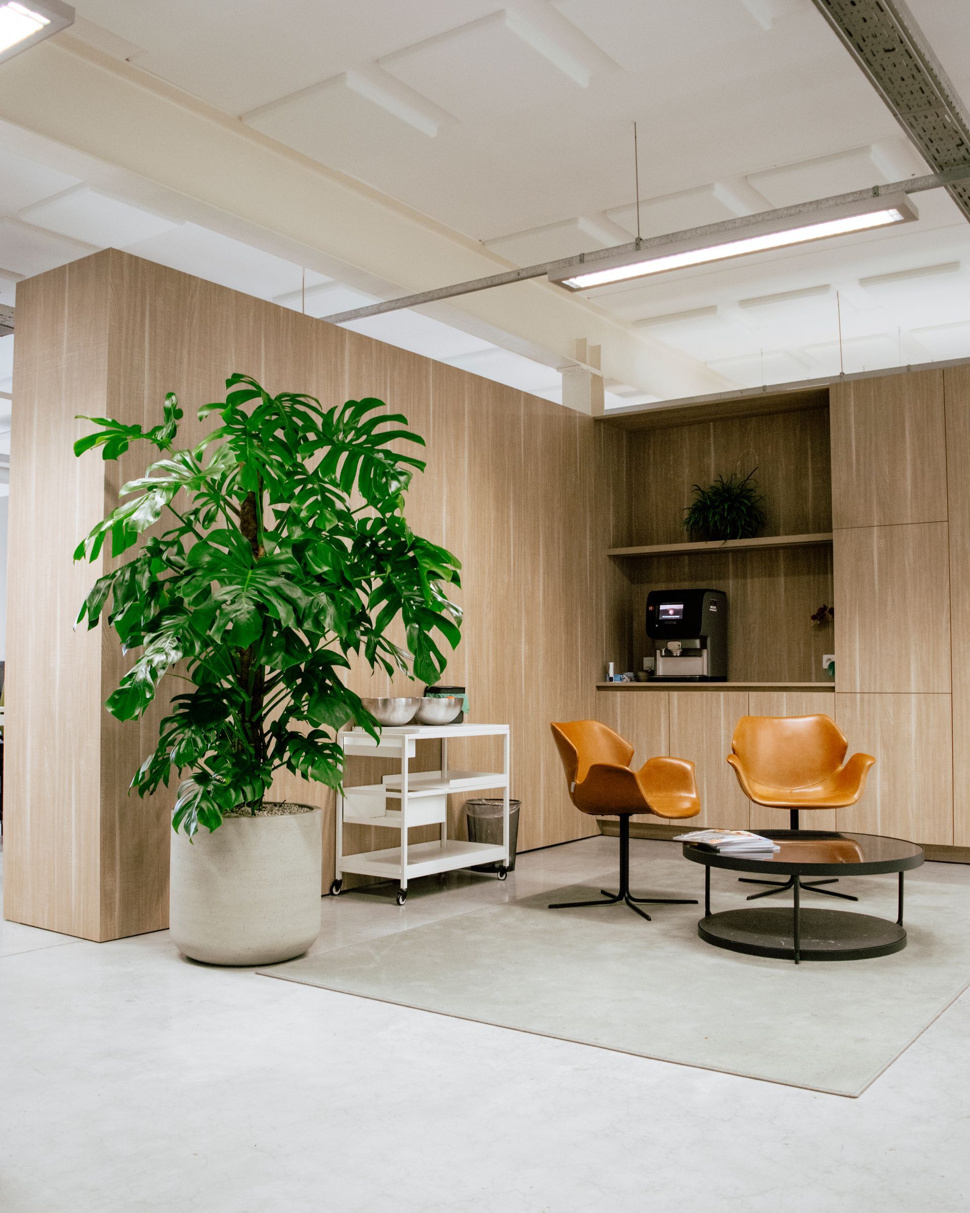 Modern office lounge with a large potted tree, white chair, and orange chairs by wood-paneled walls