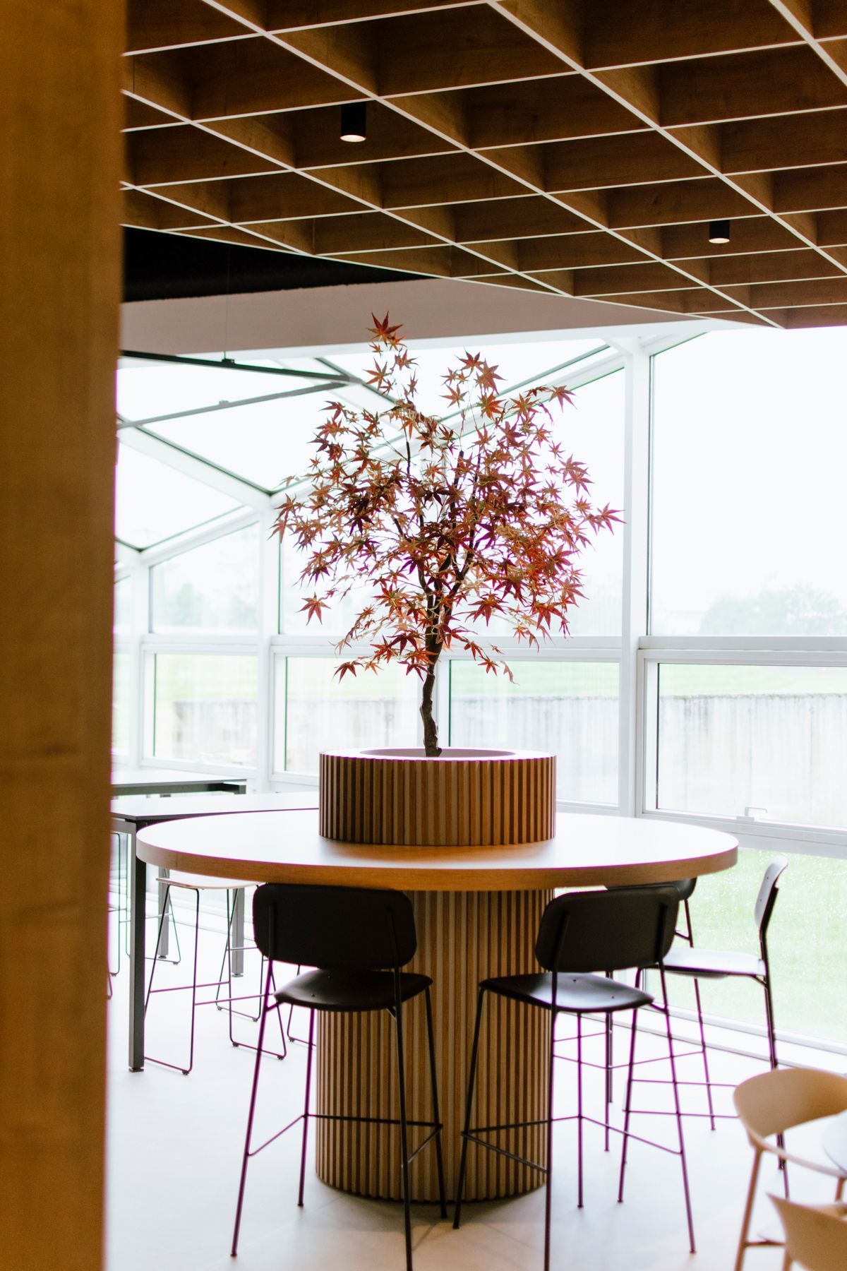 Salon moderne avec table ronde, tabourets hauts et un arbre fleuri en centre de table près de grandes fenêtres