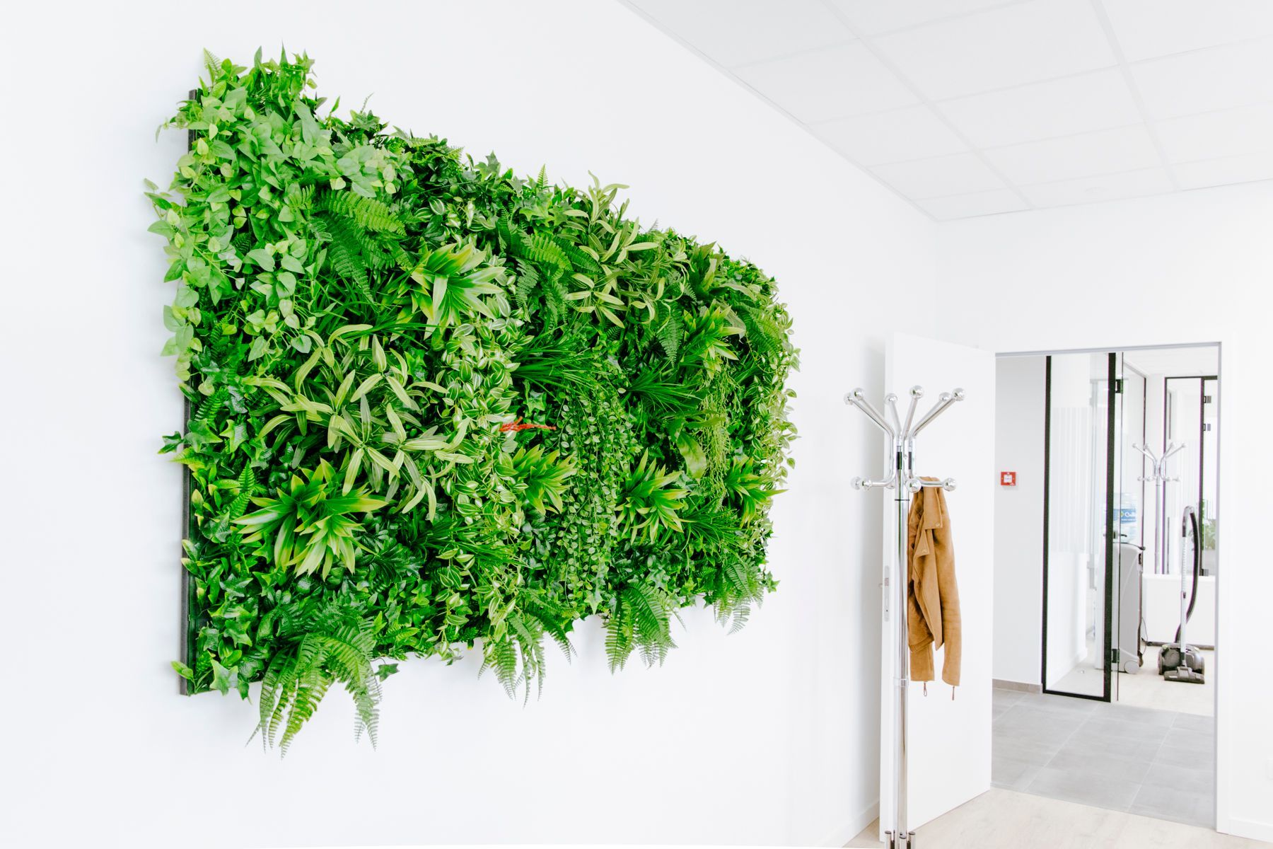 Mur de bureau avec une grande installation végétale verticale verte et un porte-manteau près d'une porte
