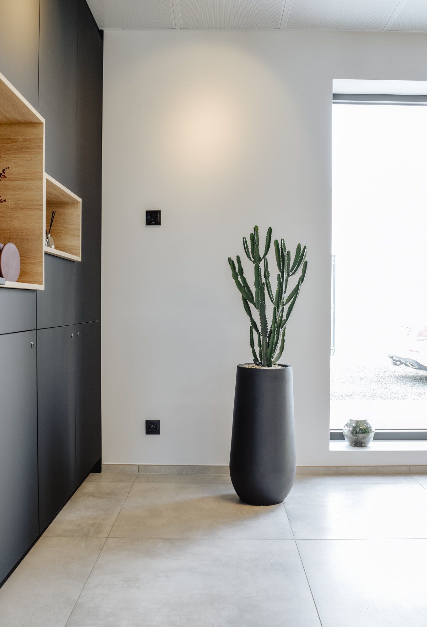 Modern entryway with a tall potted cactus beside a bright window and built-in dark cabinetry