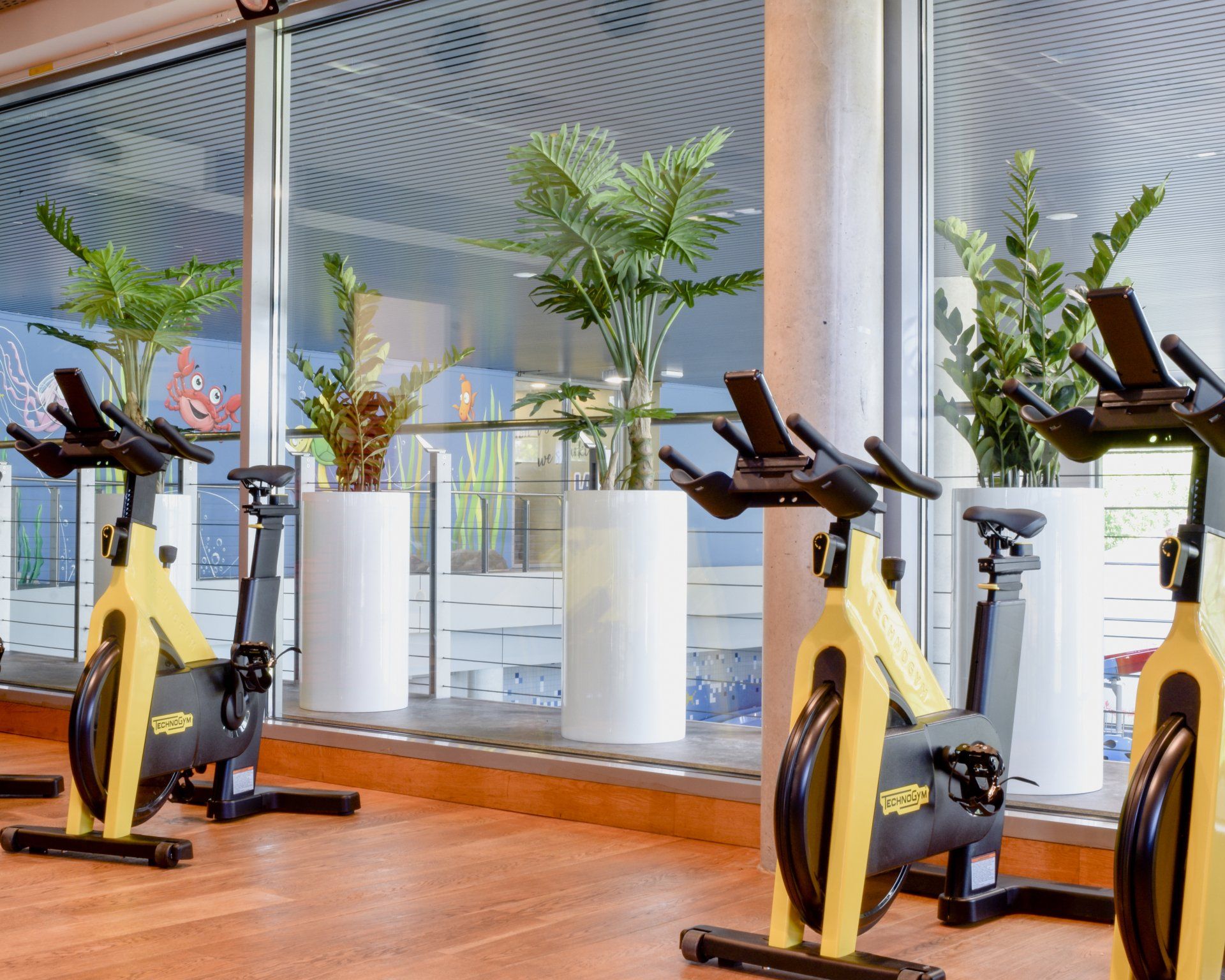 Une rangée de vélos stationnaires jaunes dans une salle de sport lumineuse avec des baies vitrées et des plantes en pot.