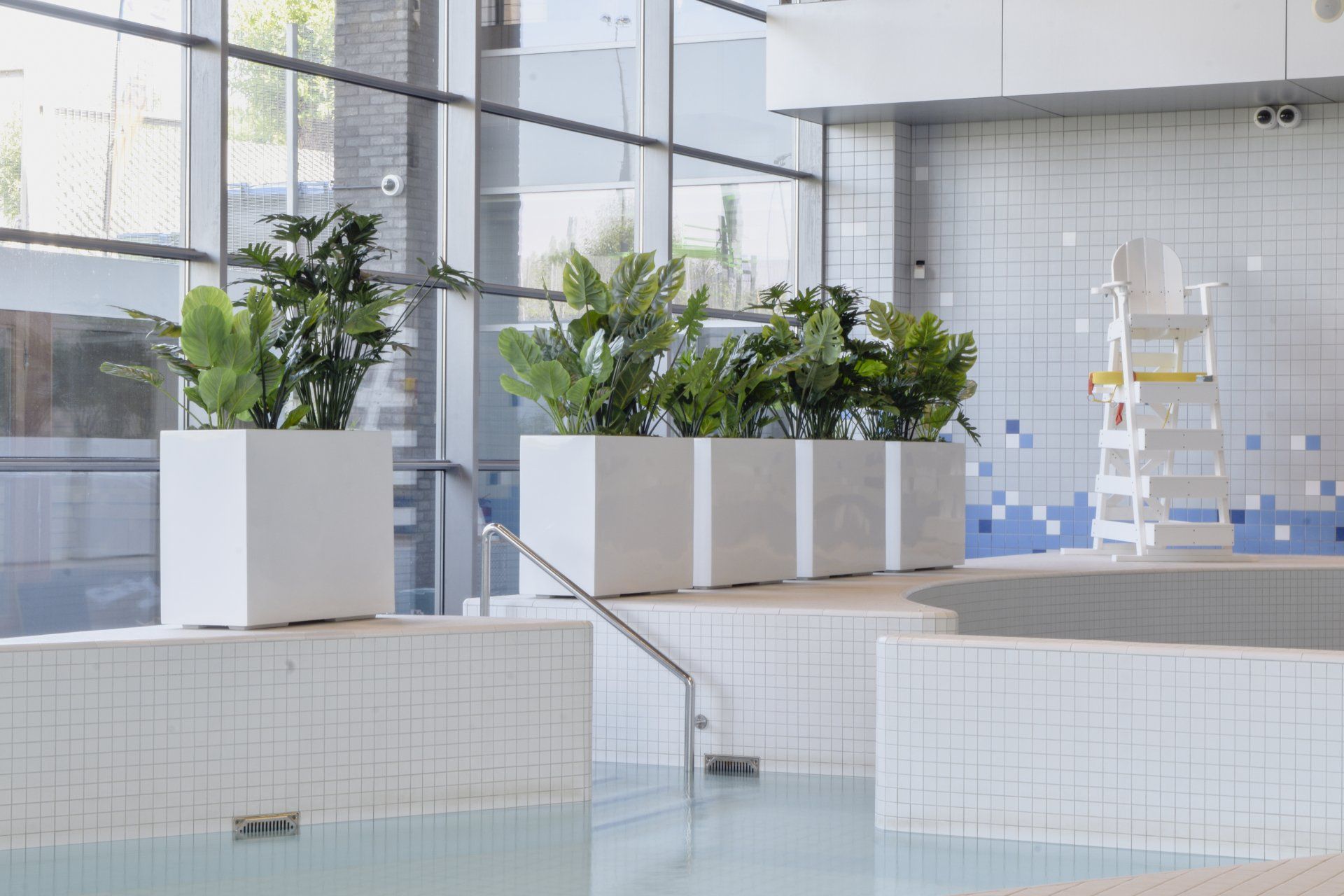 Bright indoor pool area with white tiles, potted plants, and a ladder against a tiled wall