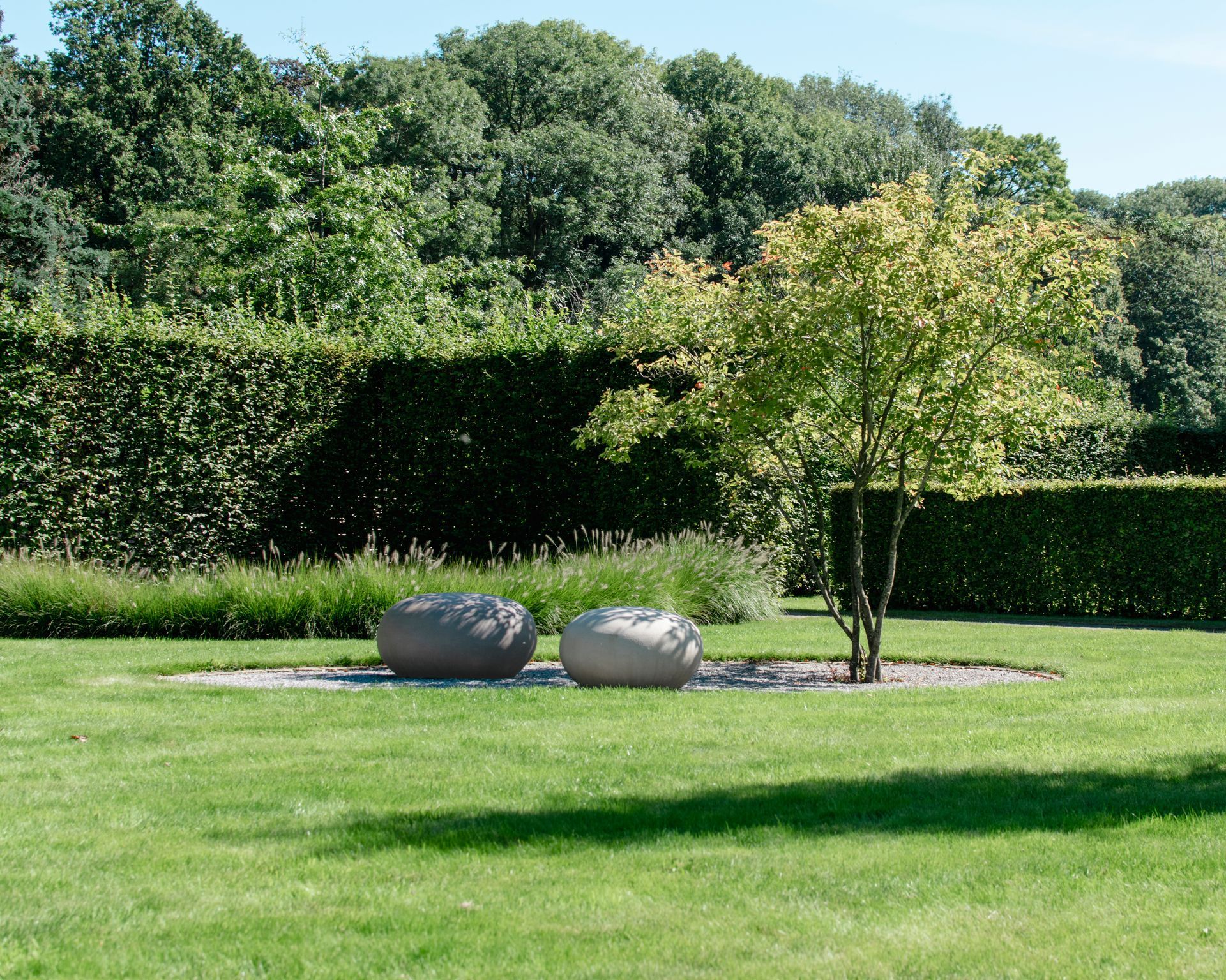 Landscaped garden with two large stones and a small tree on a lawn