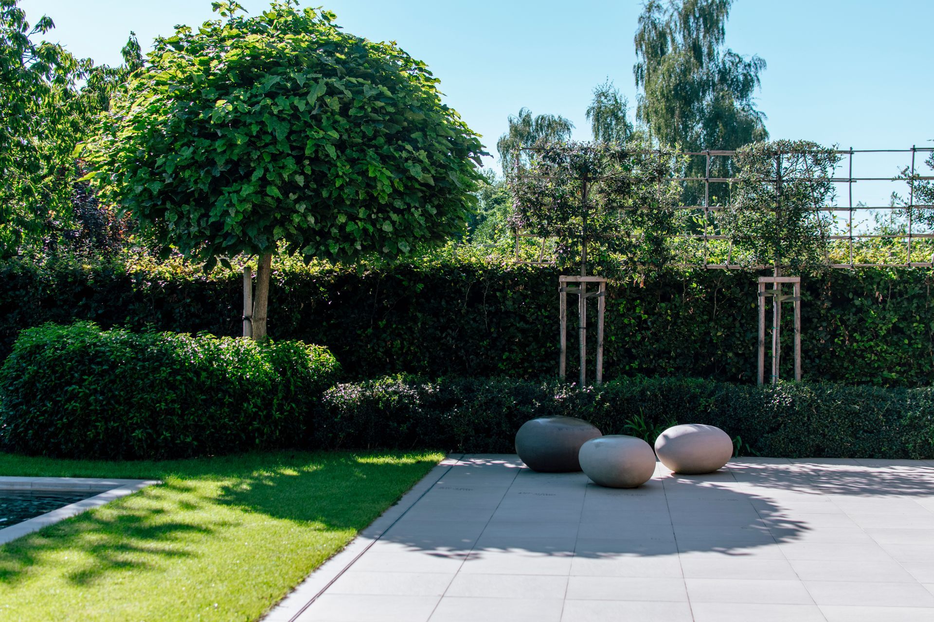 Modern garden with trimmed hedges, a topiary tree, and three round seats on a patio