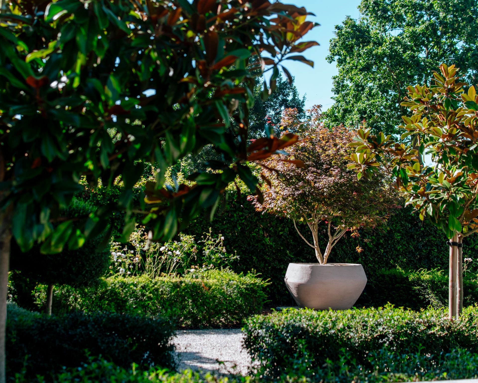 Sunny garden with lush trees, hedges, and a large white planter along a curved stone path