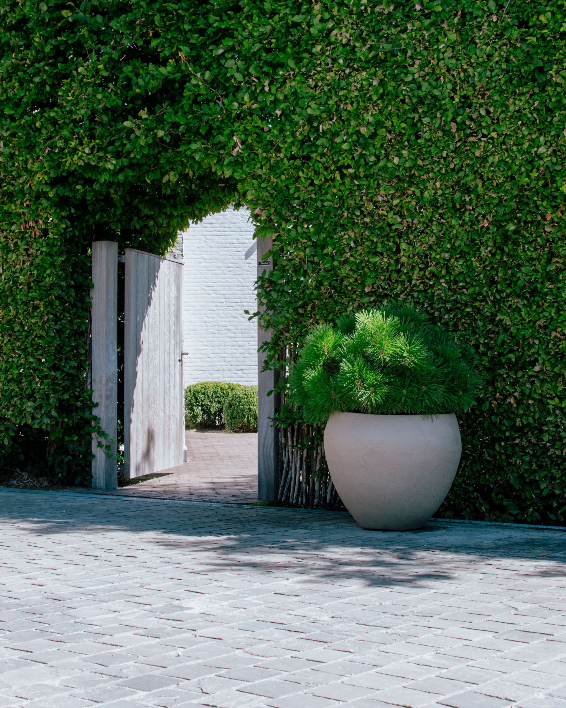 Garden archway covered in green vines, with an open white door and large potted plant on a stone patio