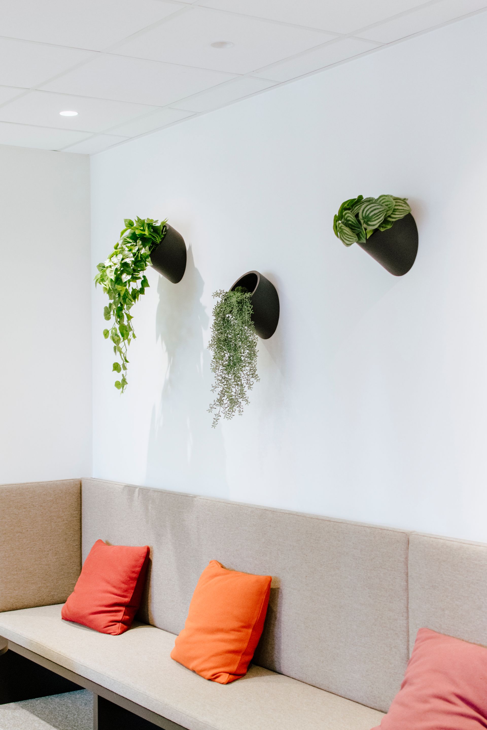 Salon moderne avec plantes suspendues au-dessus d'une banquette beige et de coussins colorés.