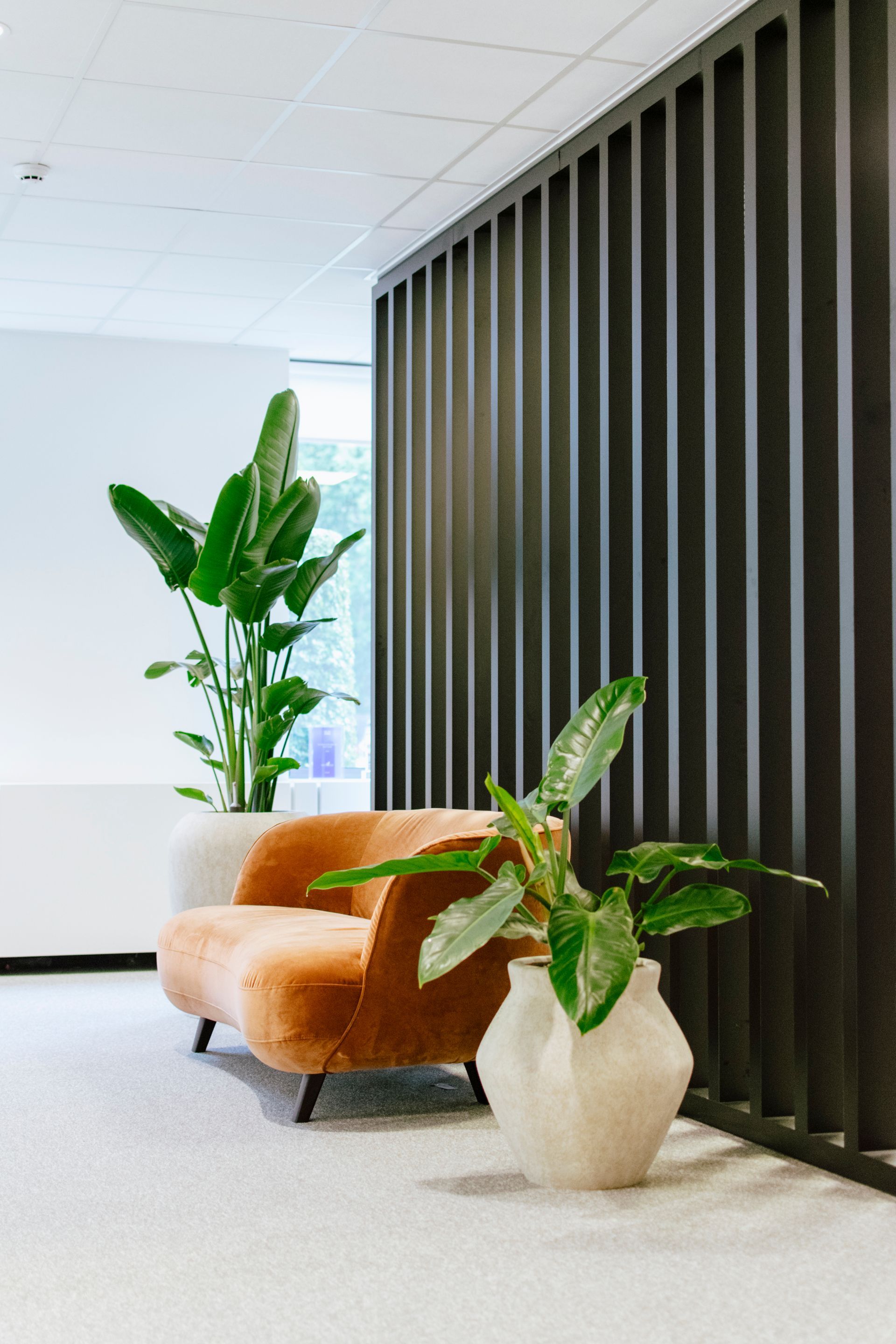Modern office lounge with tan chair, potted plants, and dark vertical slatted wall