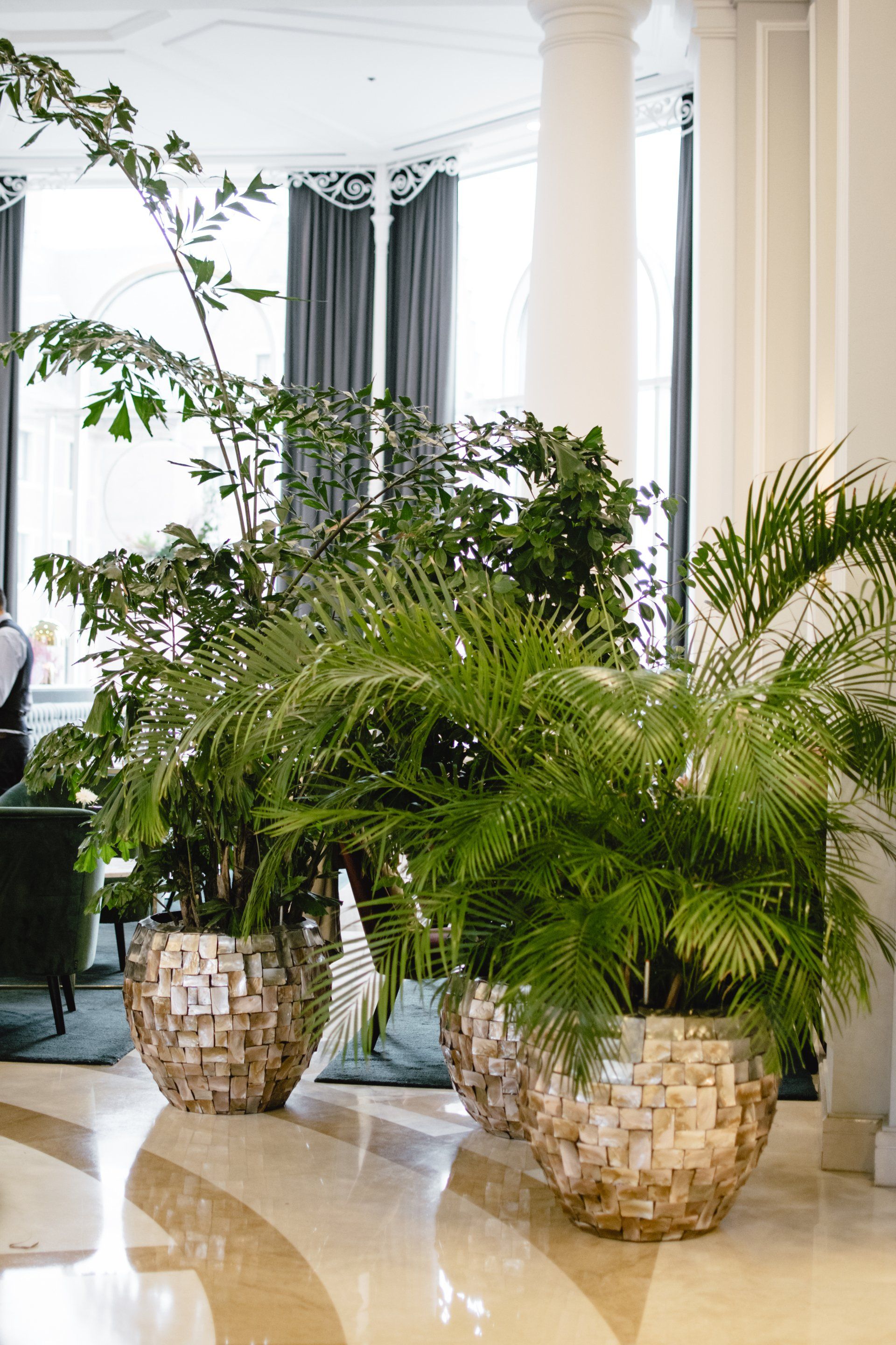 Des palmiers en pot dans des paniers tressés ornent un hall d'entrée intérieur lumineux et élégant.