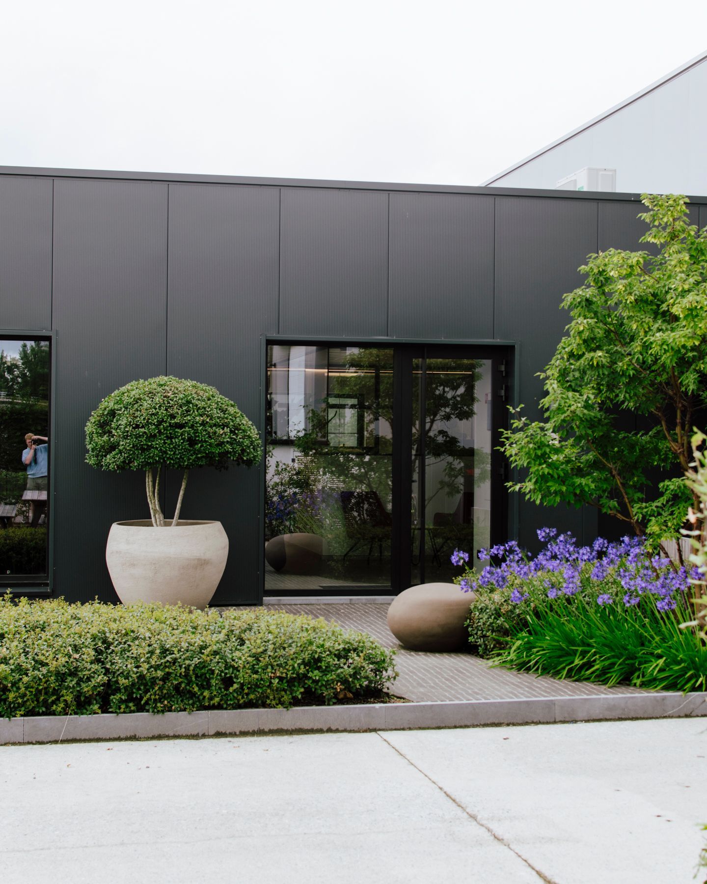 Modern building entrance with dark facade, glass door, potted topiary, and purple flowers in front garden