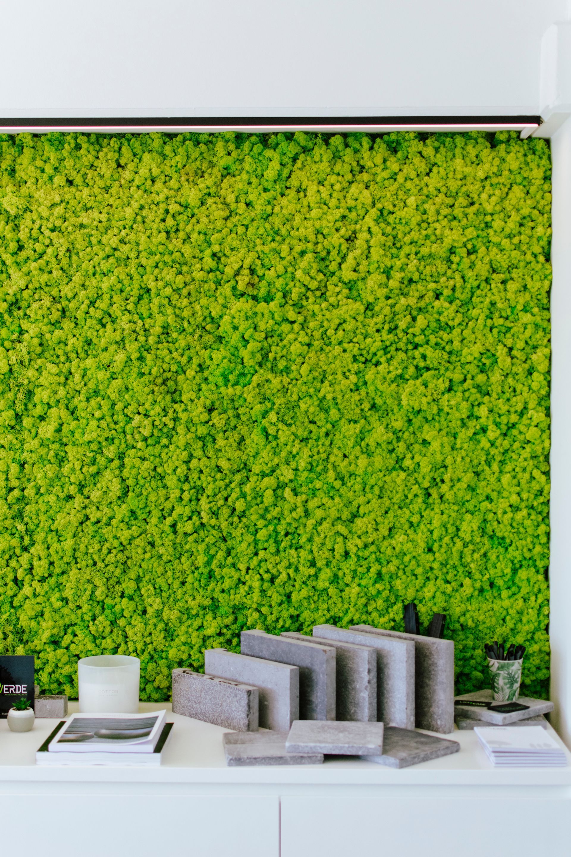 Mur de mousse vert vif derrière une étagère avec des livres et des objets de décoration