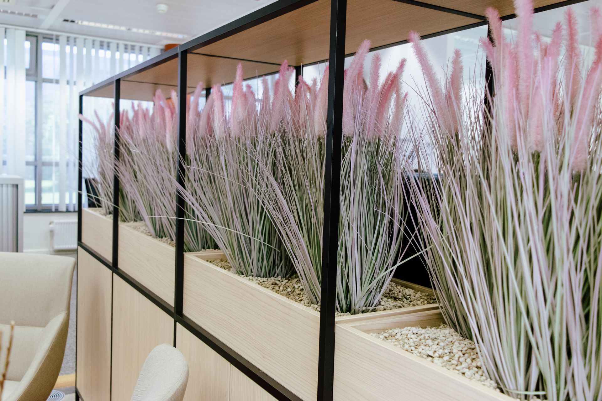 Intérieur de bureau moderne avec des jardinières beiges et de hautes graminées ornementales roses et blanches derrière une cloison en verre.