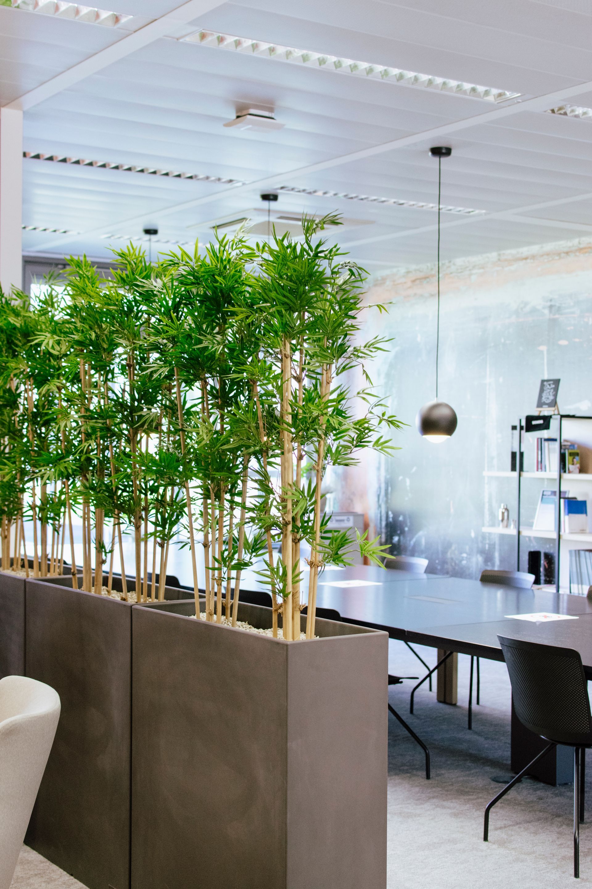 Bureau moderne et lumineux avec plantes de bambou, table de conférence et suspensions lumineuses.