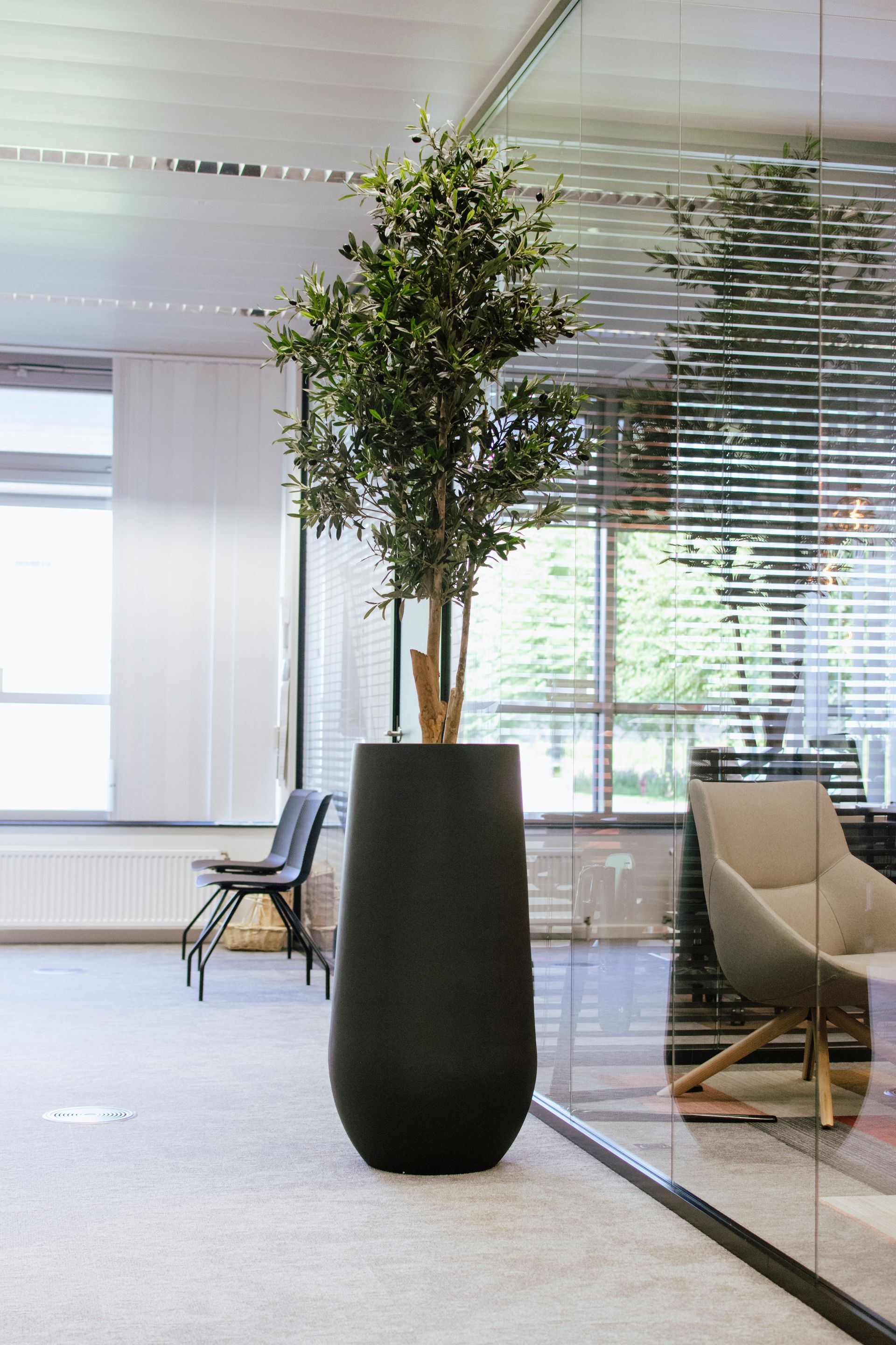 Grand arbre en pot dans le hall d'un immeuble de bureaux moderne, près de parois vitrées et de fauteuils de détente.