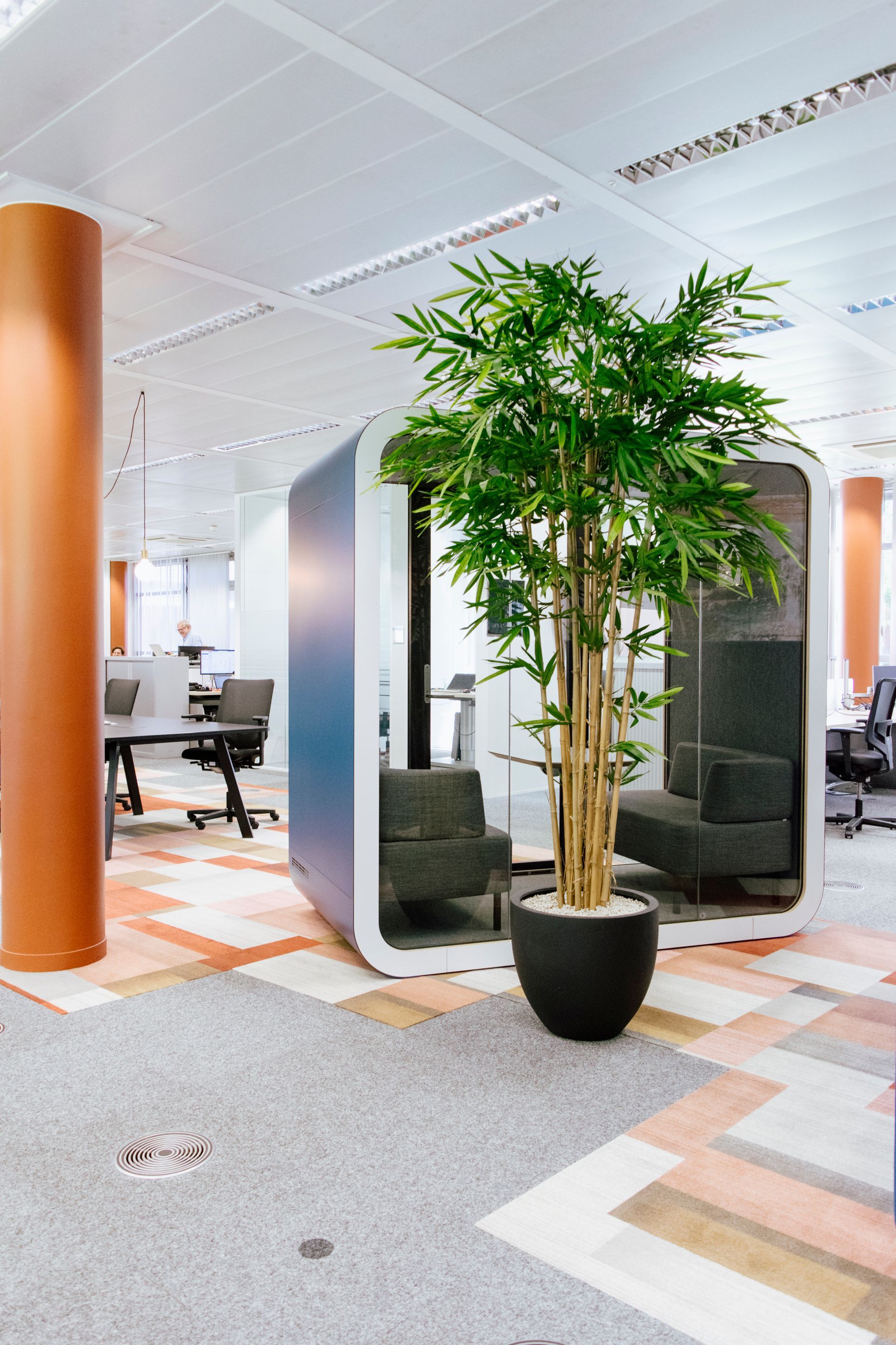 Tall potted indoor tree in a modern office with orange columns and open workstations