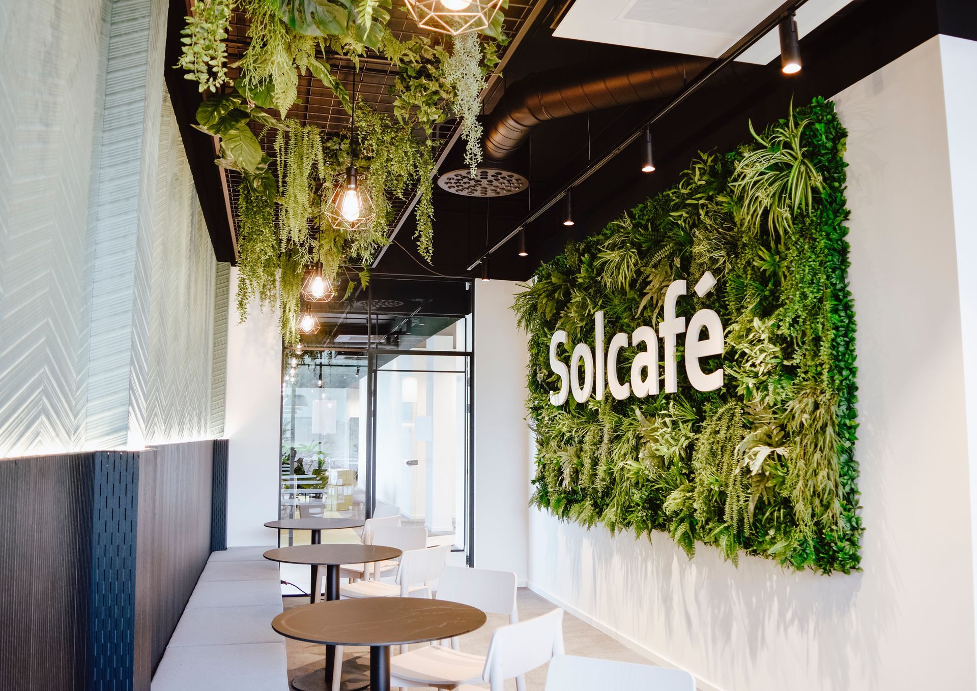 Intérieur de café moderne avec plantes suspendues, murs blancs, tables rondes et enseigne verte « Solcafé ».