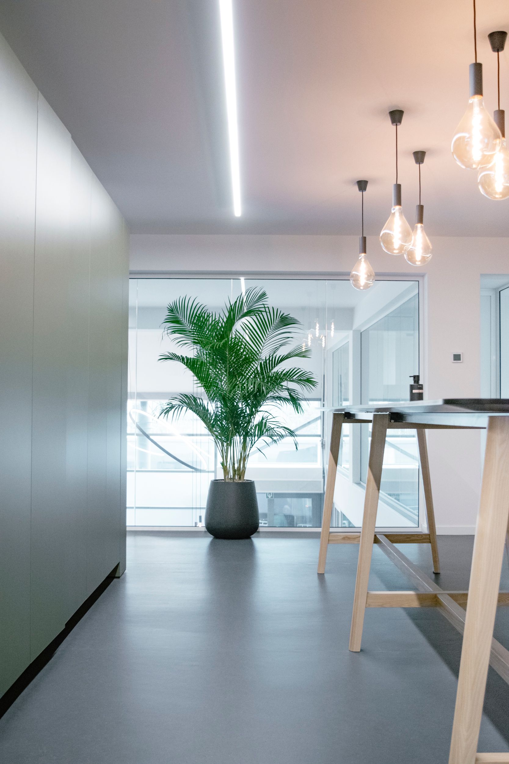 Modern kitchen or dining space with a potted palm, pendant lights, and a wooden table by a bright window