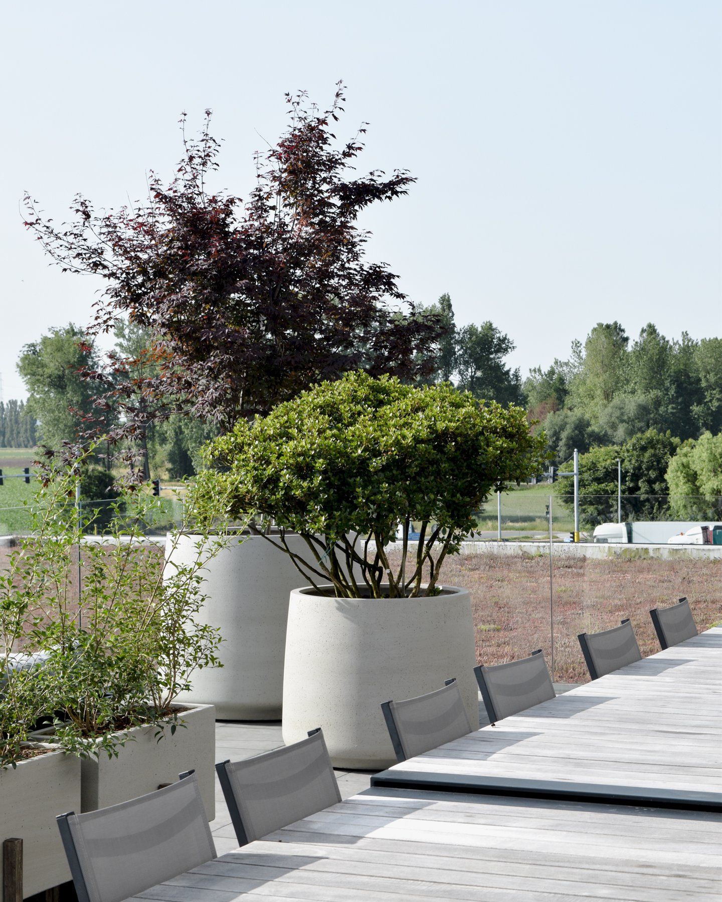 Outdoor terrace with potted trees, gray benches, and a walkway beside a brick wall.