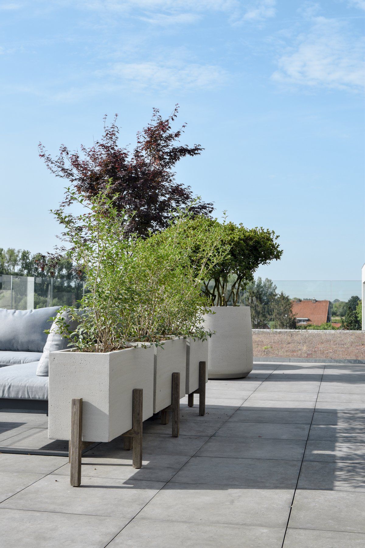 Modern rooftop terrace with white planters, green shrubs, and a blue sky backdrop