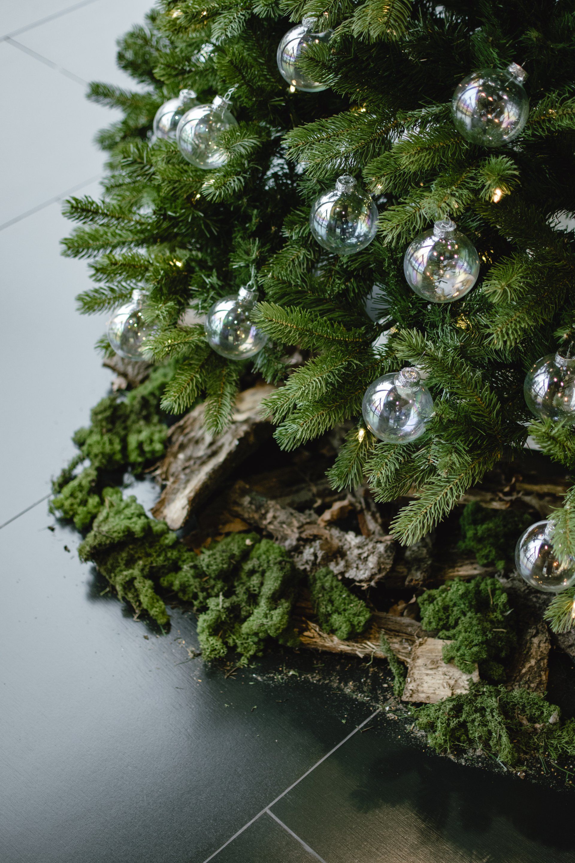 Glittery silver ornament nestled in dense green foliage on a tiled floor