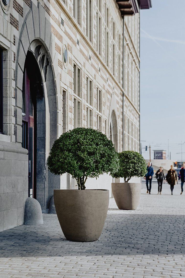 Stone street beside a historic building, with two potted topiary trees and pedestrians in the distance.