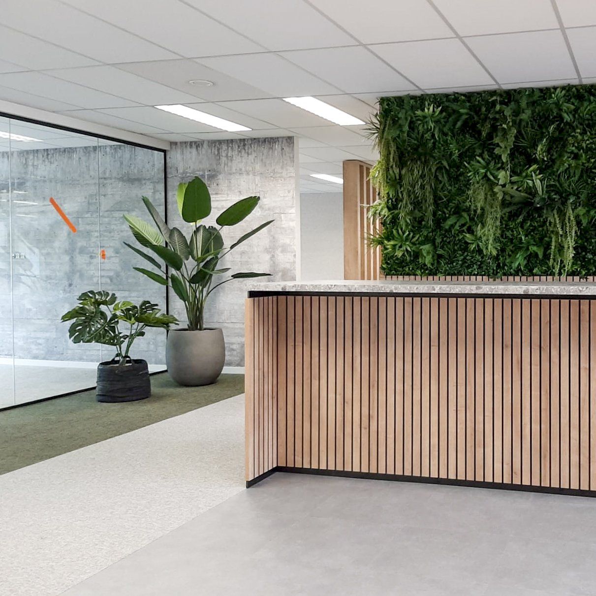 Modern office lobby with a wood reception desk, green plant wall, and large potted plants